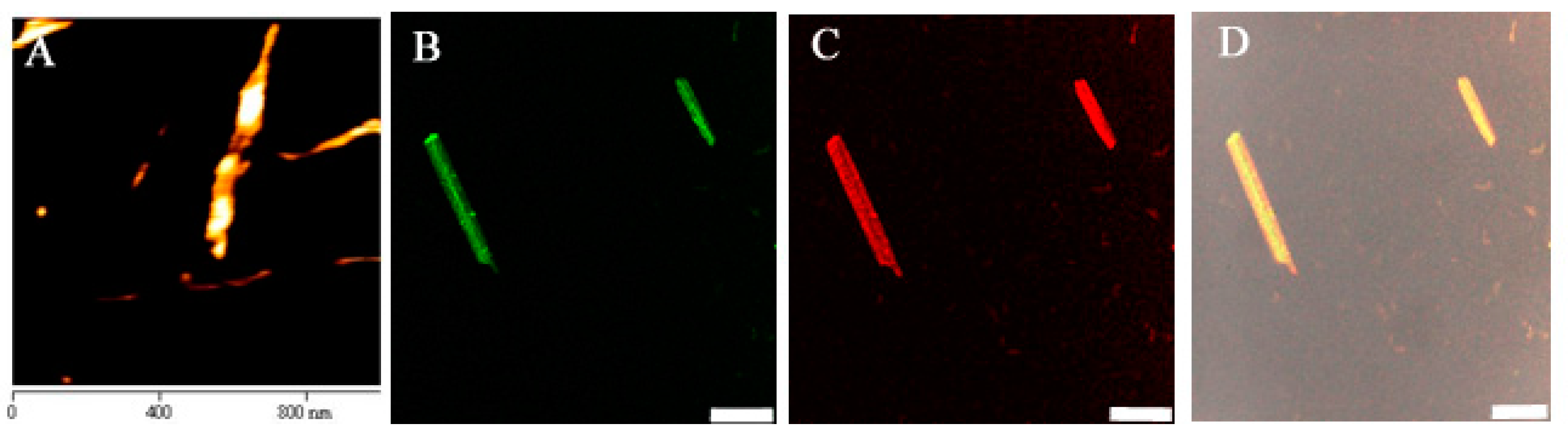 Pharmaceutics 07 00122 g003