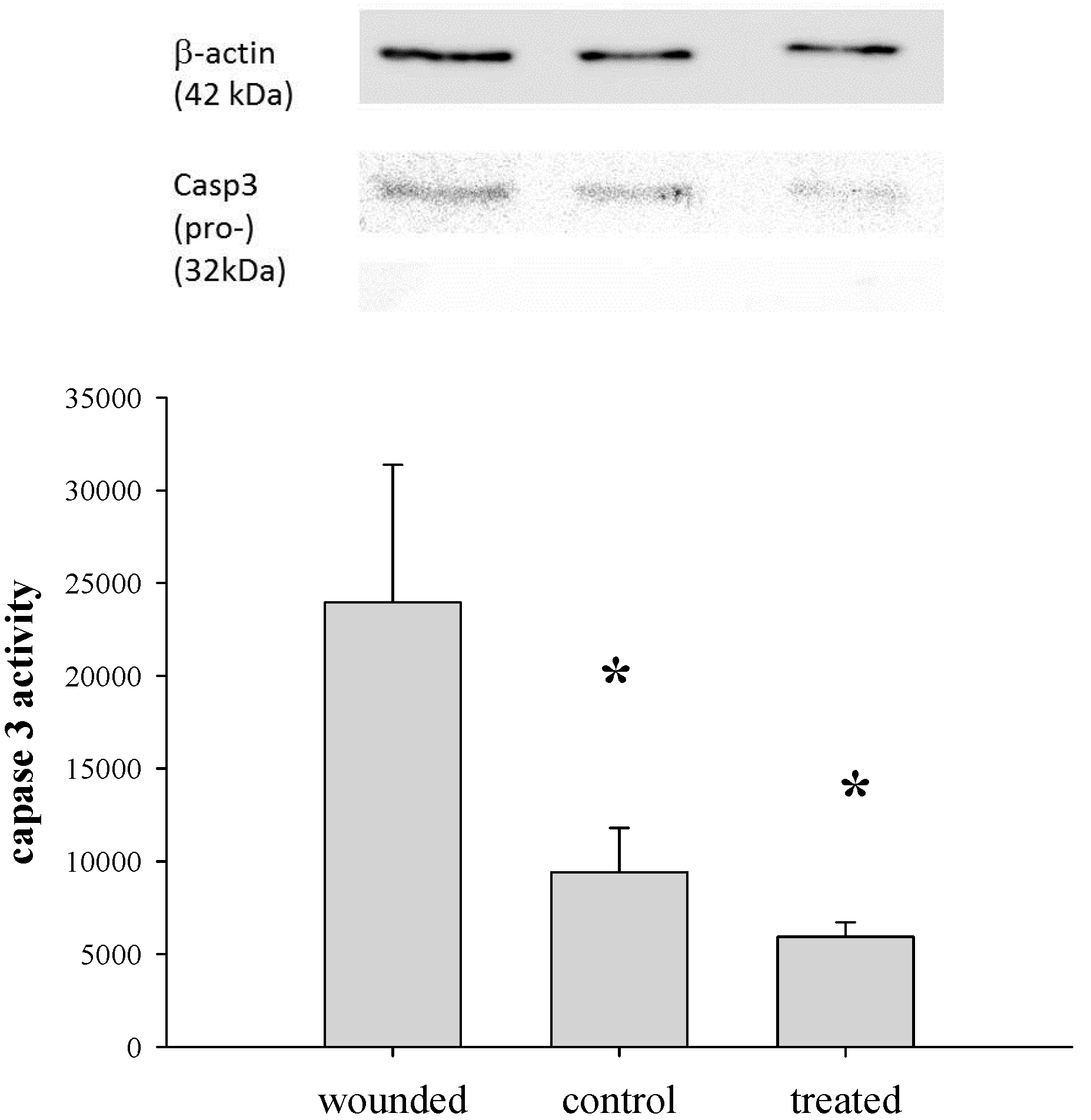 Pharmaceutics 07 00122 g008