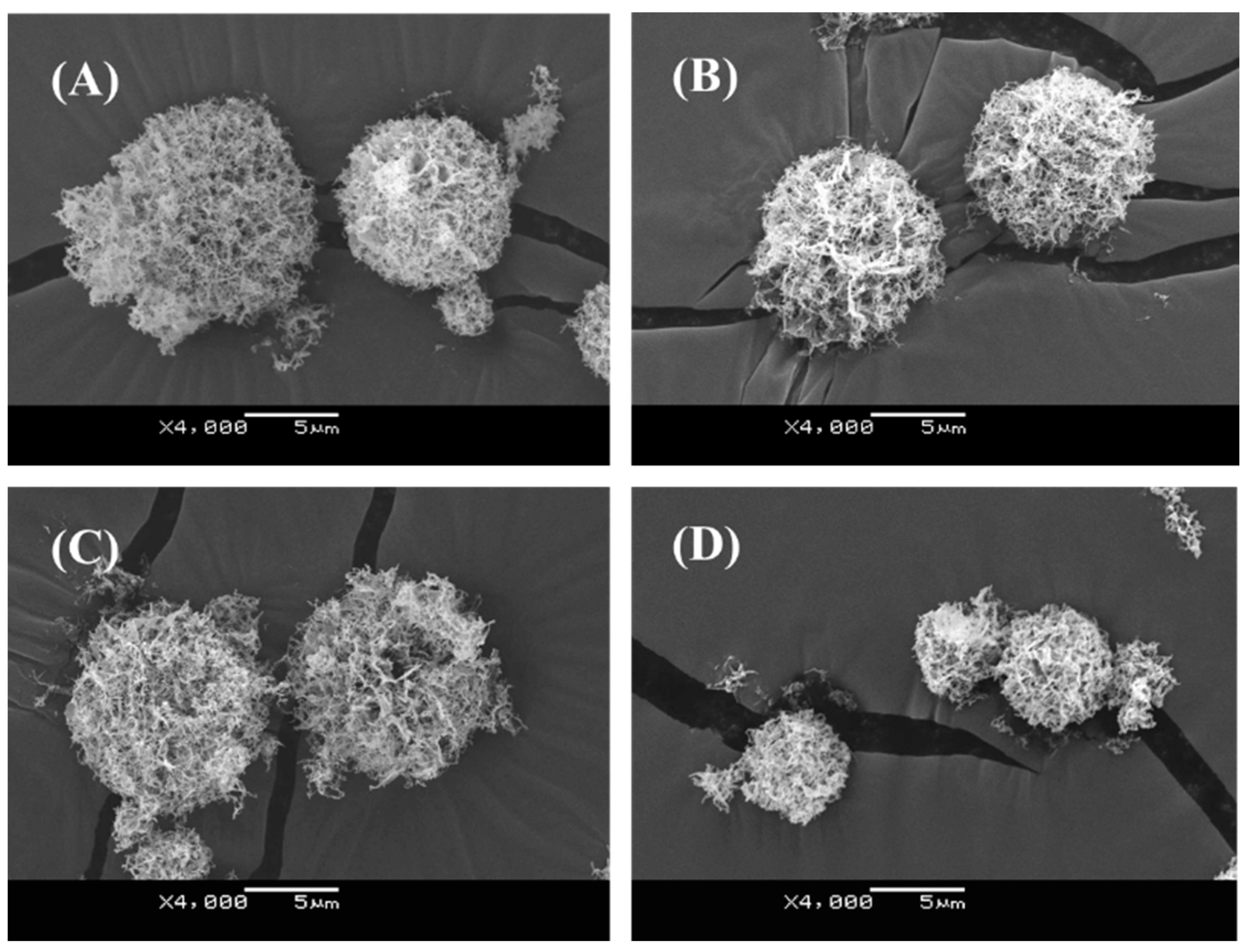 Pharmaceutics 07 00233 g003 1024
