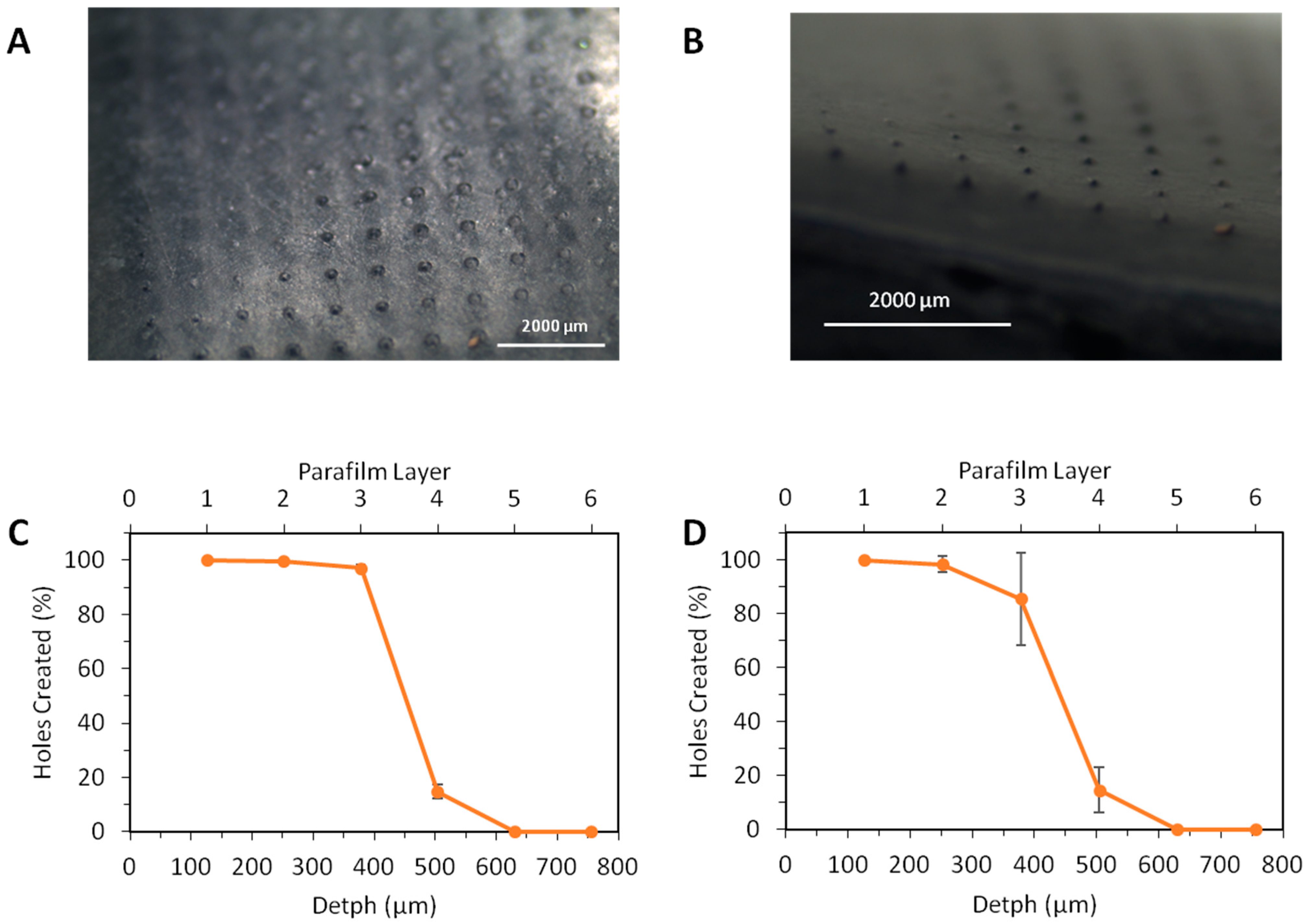 Pharmaceutics 07 00397 g003 1024