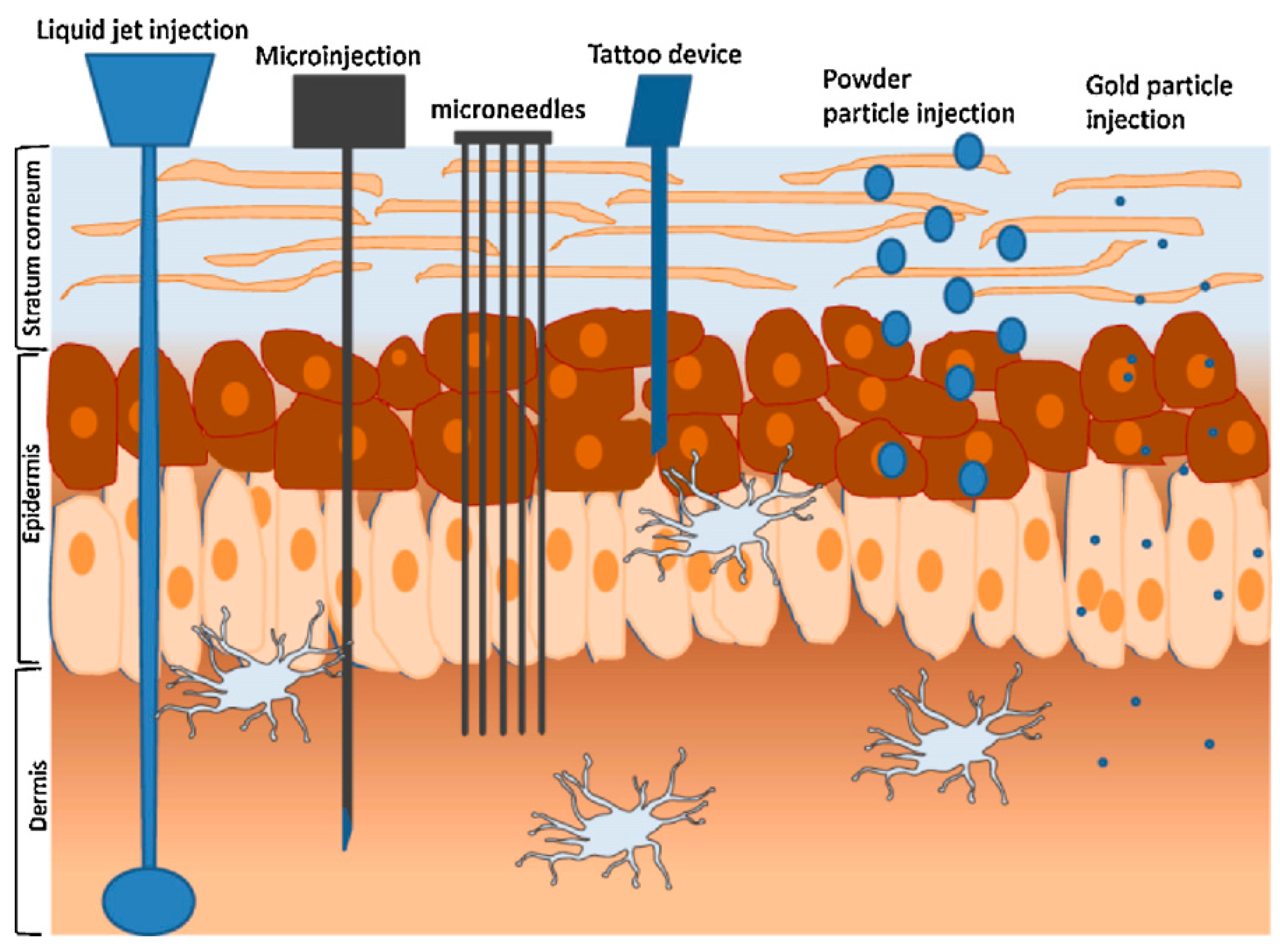 Pharmaceutics | Free Full-Text | Transdermal Drug Delivery: Innovative