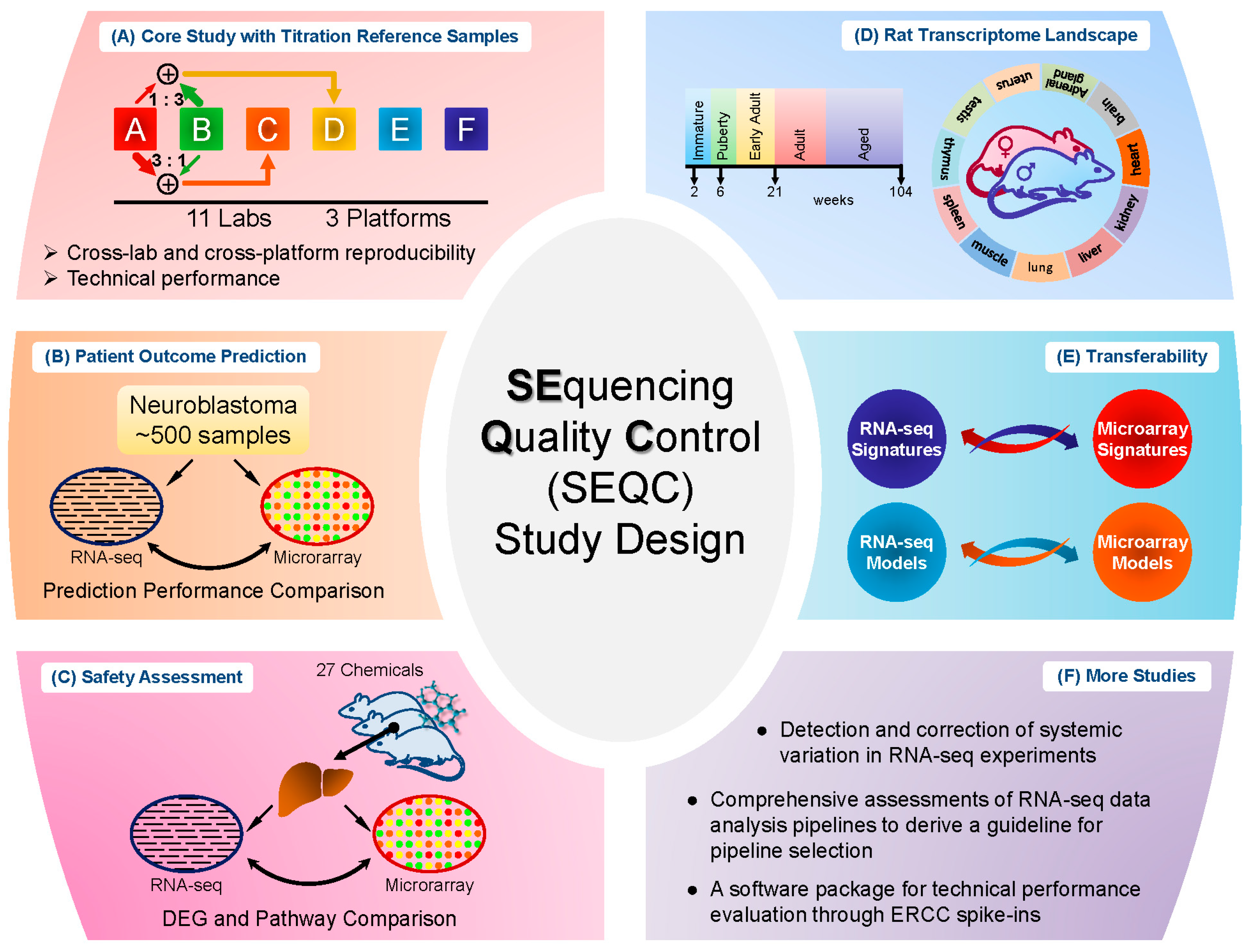 Pharmaceutics, Free Full-Text