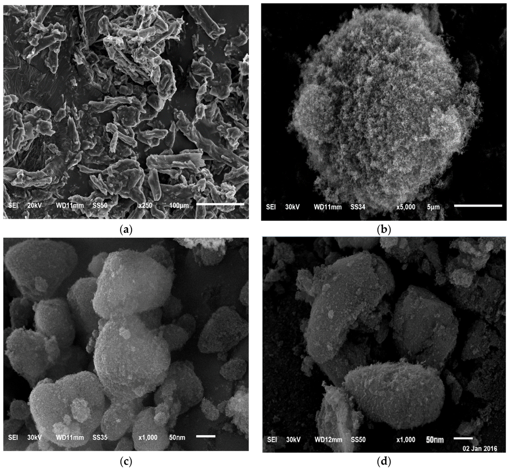 Pharmaceutics | Free Full-Text | Novel Solid Self-Nanoemulsifying Drug ...