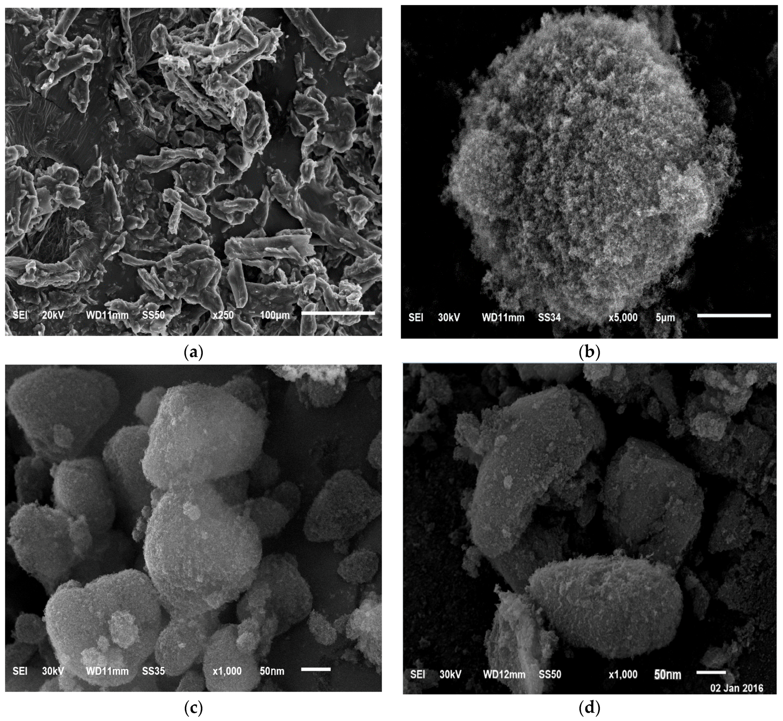 Pharmaceutics 08 00020 g007