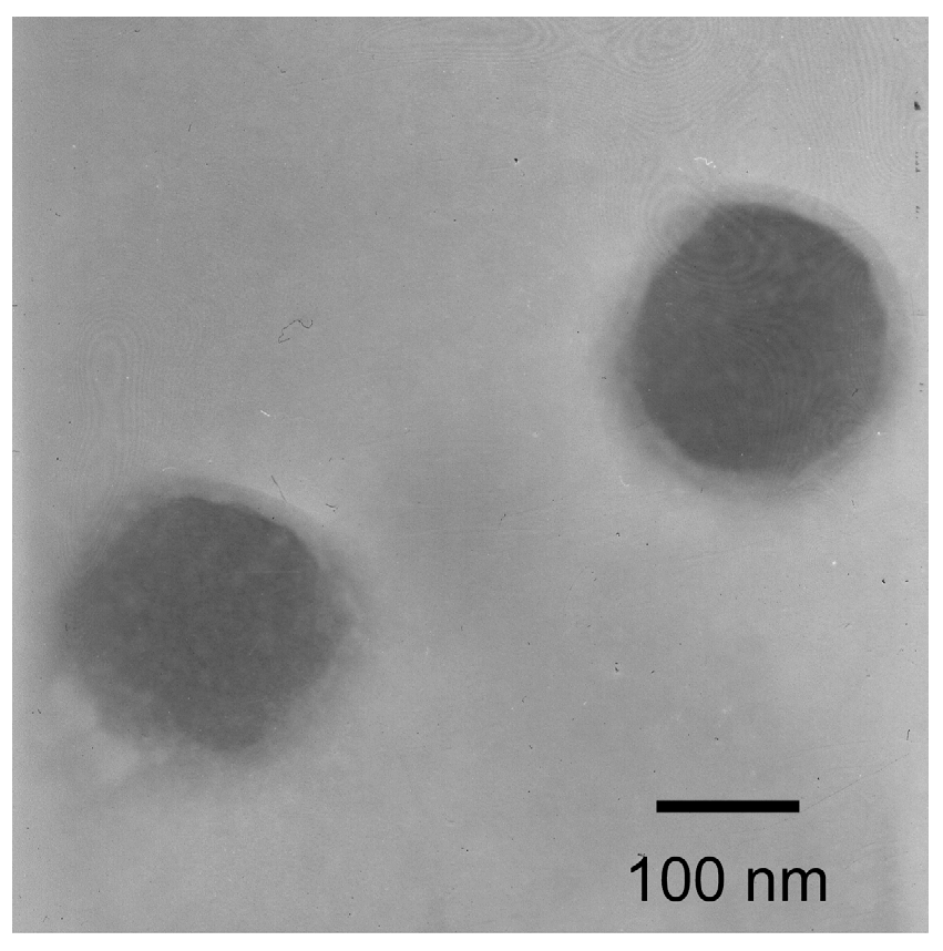 Pharmaceutics 09 00004 g001 550
