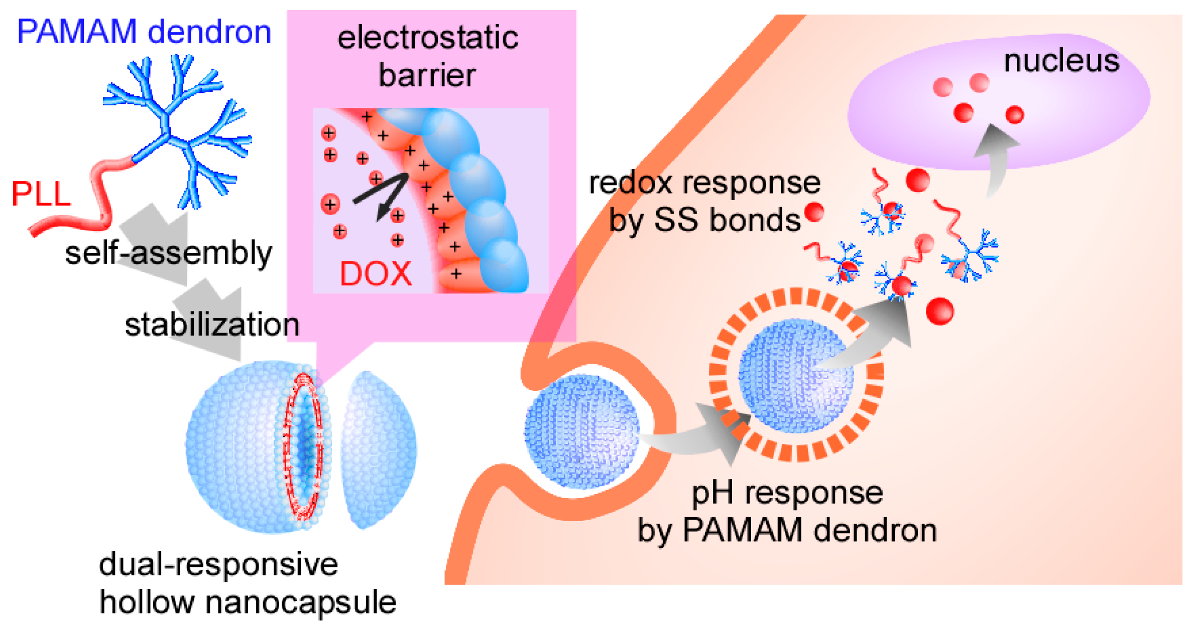 Pharmaceutics 09 00004 sch001 550