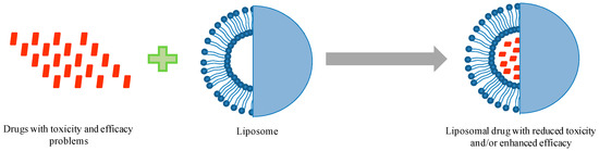 Pharmaceutics | Free Full-Text | Liposomal Formulations in Clinical Use ...