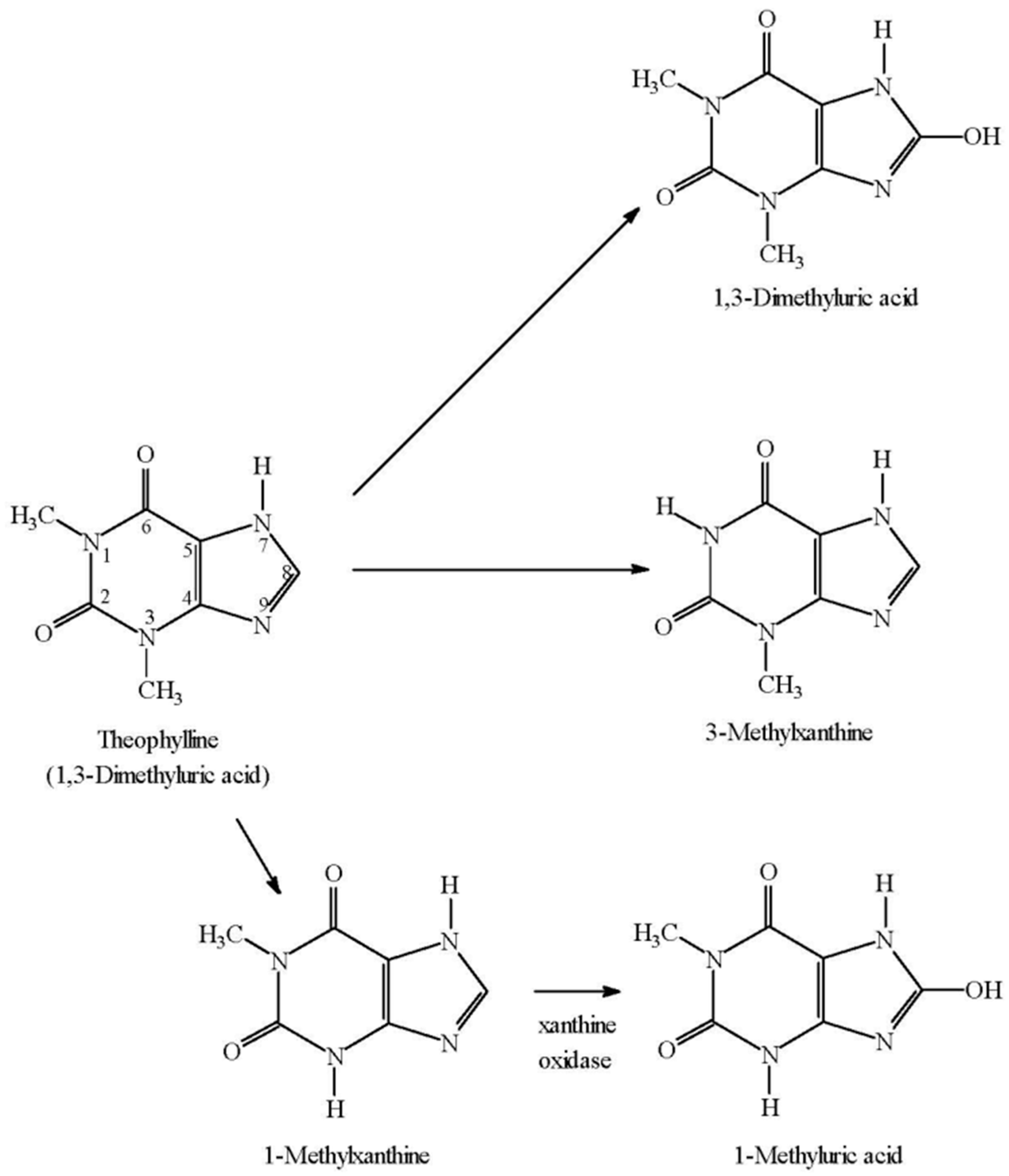 Pharmaceutics 09 00028 g001