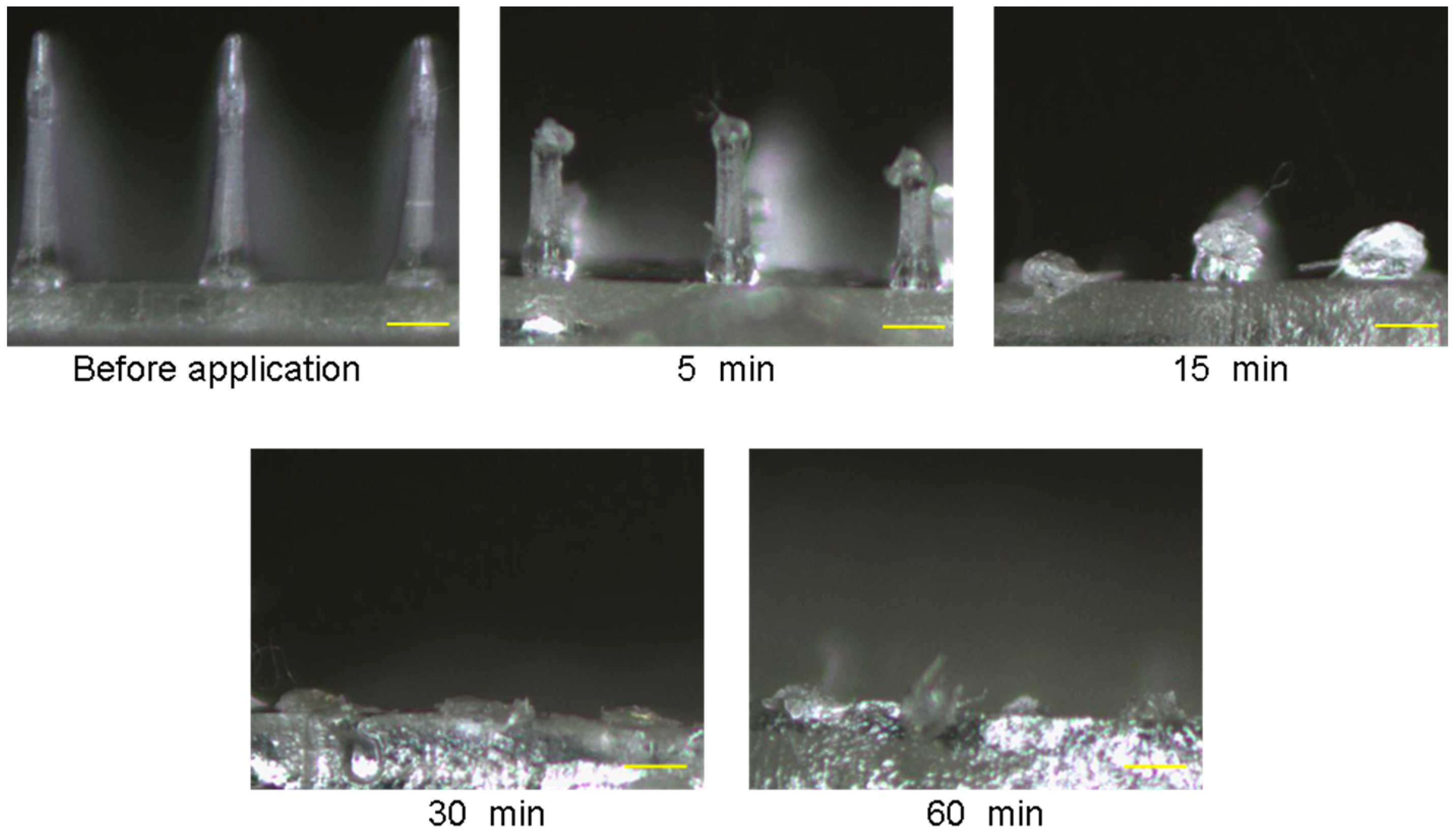 Pharmaceutics 09 00029 g003 Pharmaceutics 09 00029 g003