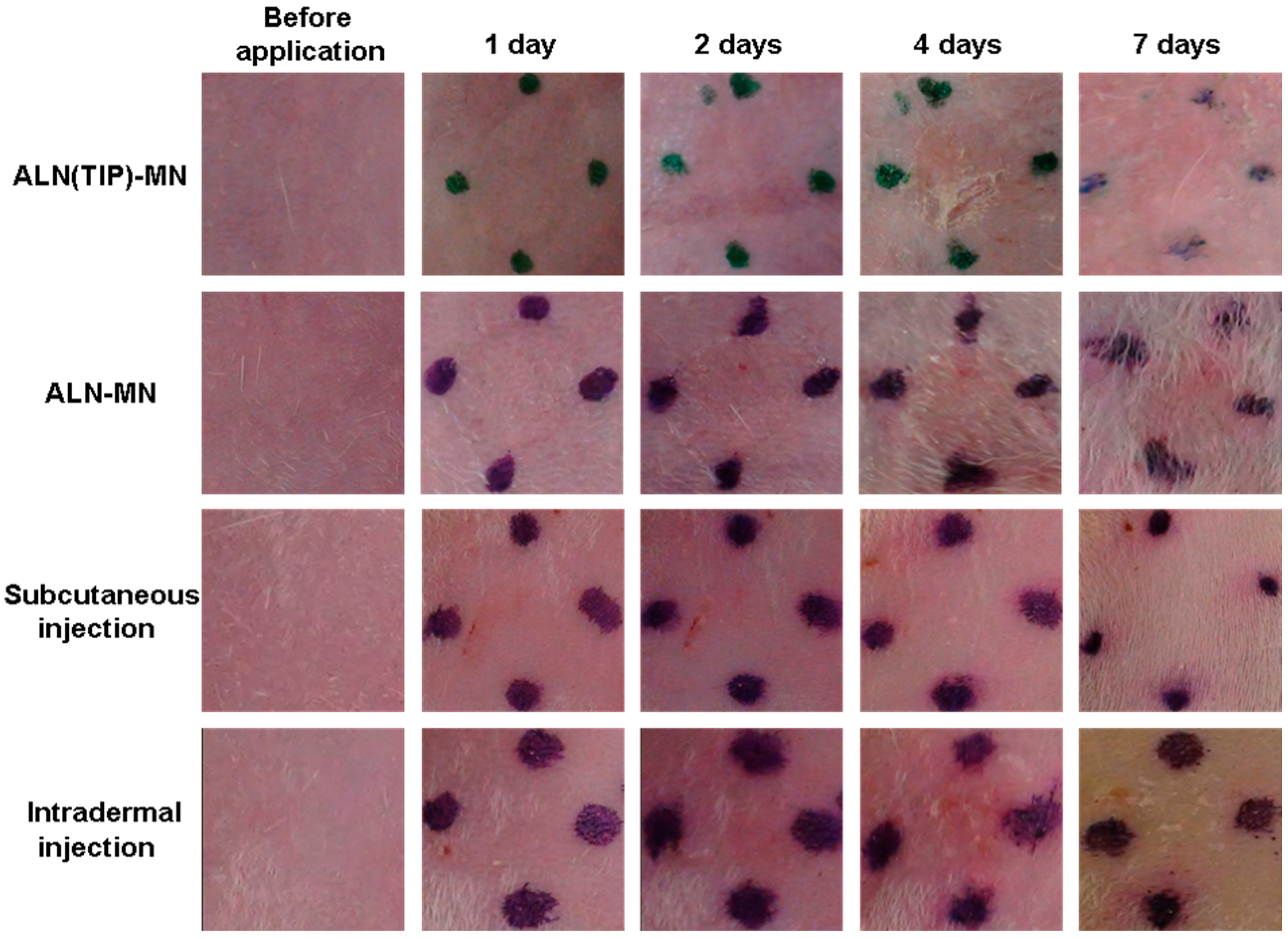 Pharmaceutics 09 00029 g007 Pharmaceutics 09 00029 g007