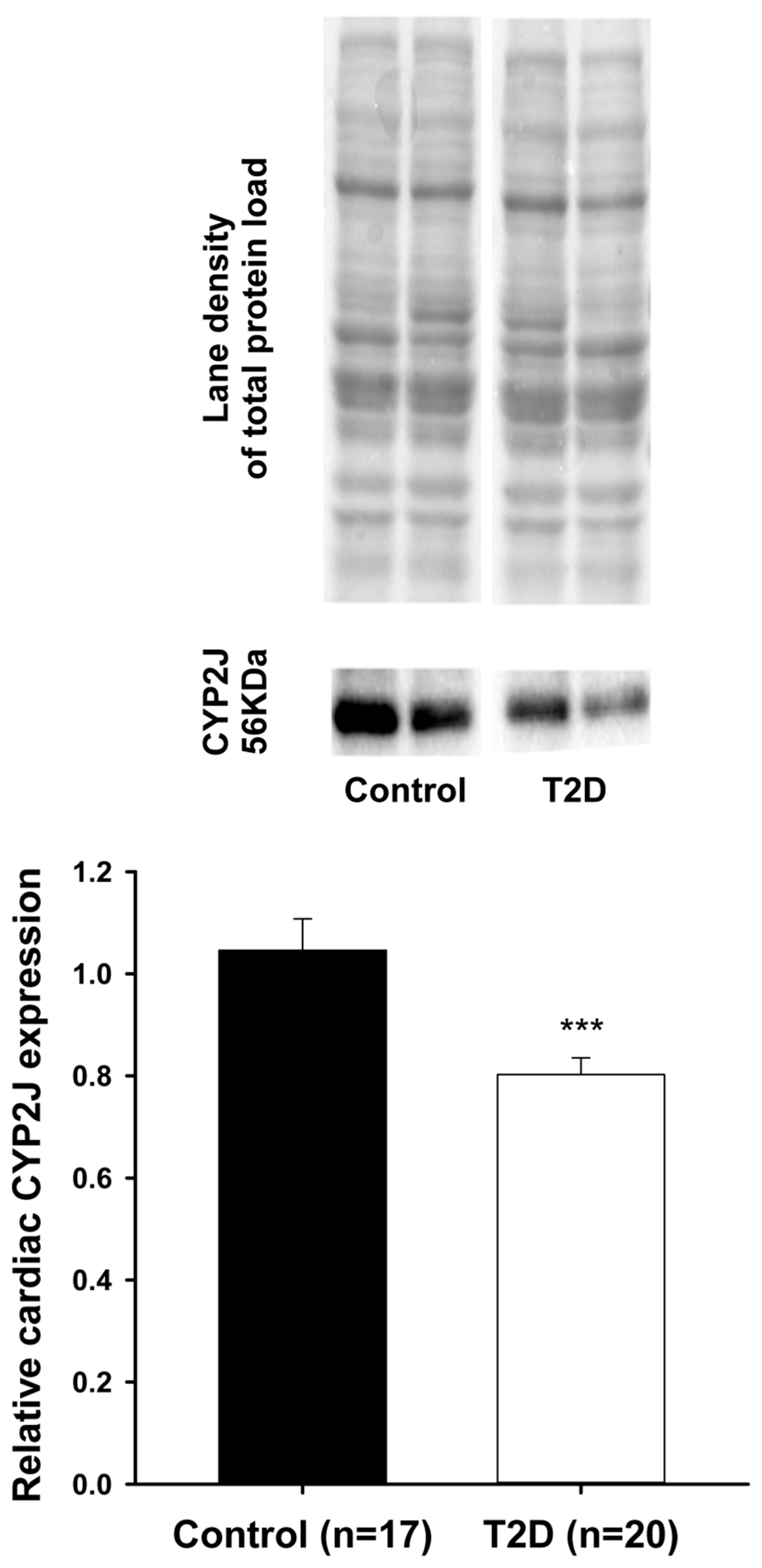 Pharmaceutics 09 00044 g001