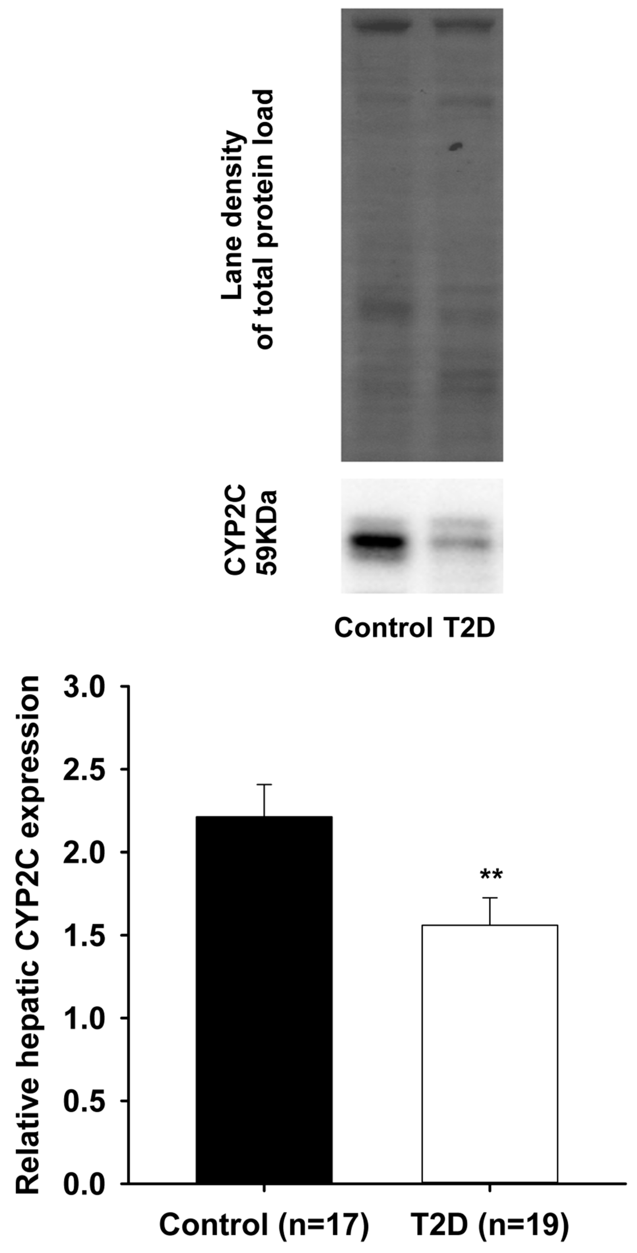 Pharmaceutics 09 00044 g002