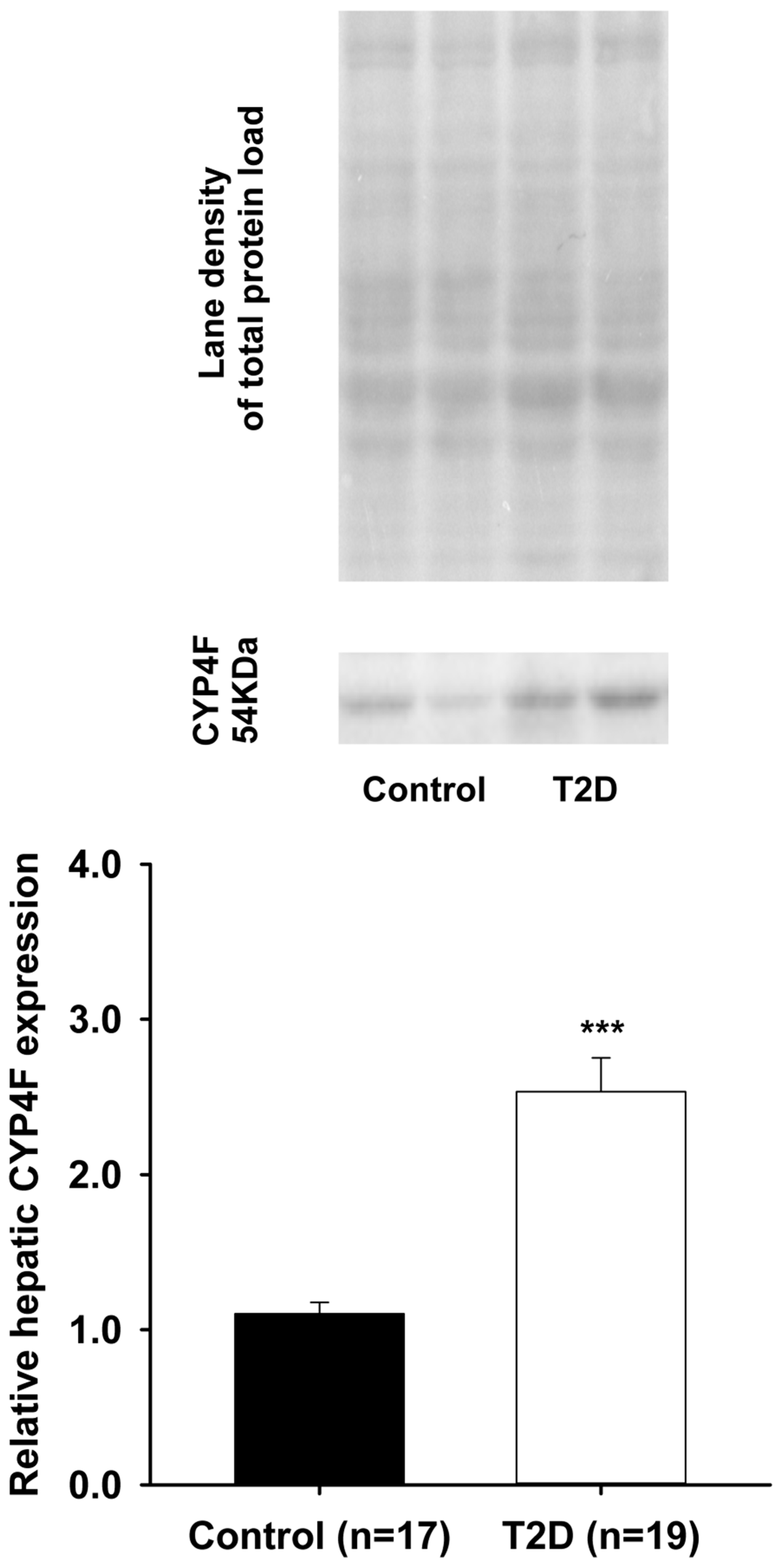 Pharmaceutics 09 00044 g004