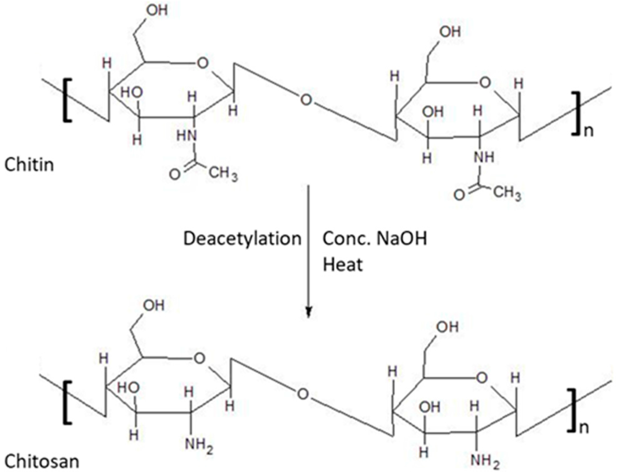Pharmaceutics 09 00053 g001 Pharmaceutics 09 00053 g001