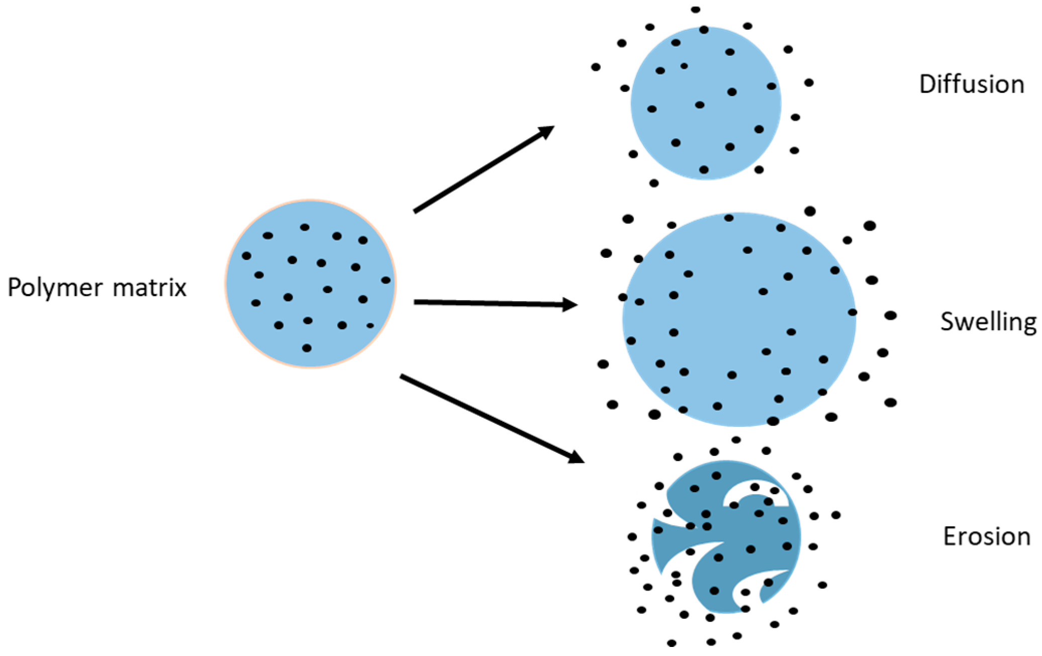 Pharmaceutics 09 00053 g003 Pharmaceutics 09 00053 g003