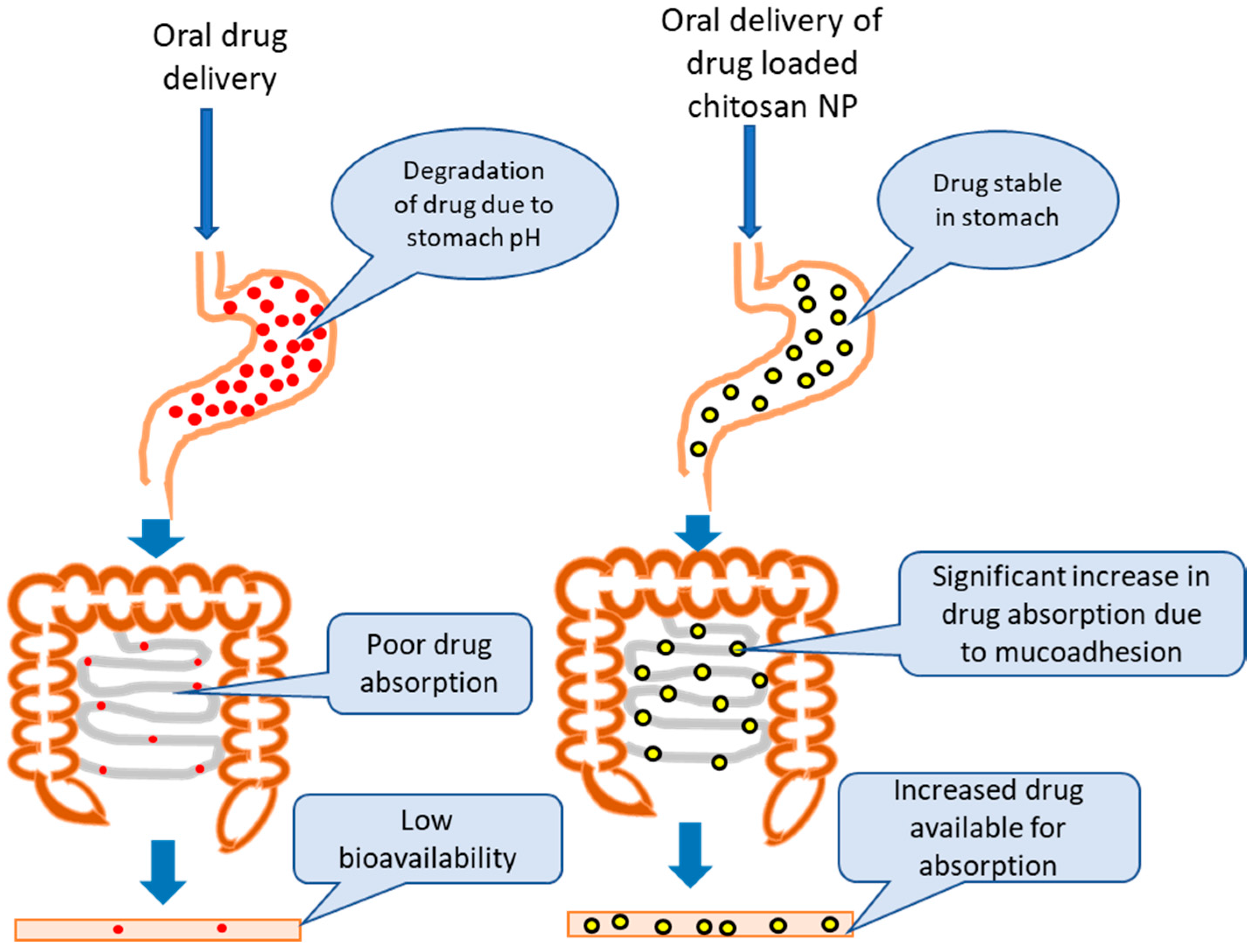 Pharmaceutics 09 00053 g005 Pharmaceutics 09 00053 g005