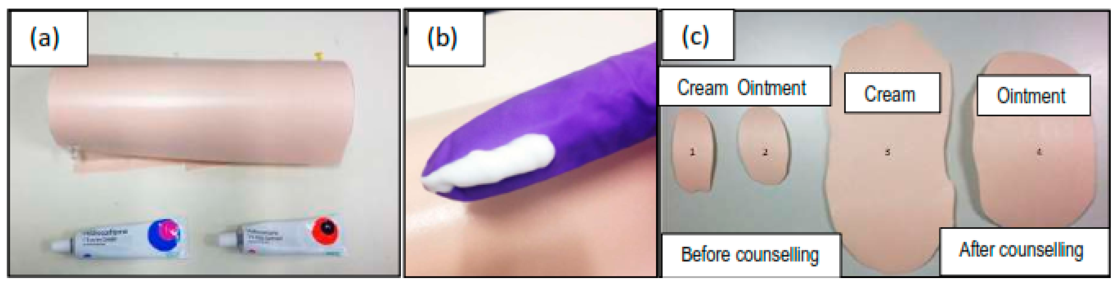 Pharmaceutics 10 00009 g001