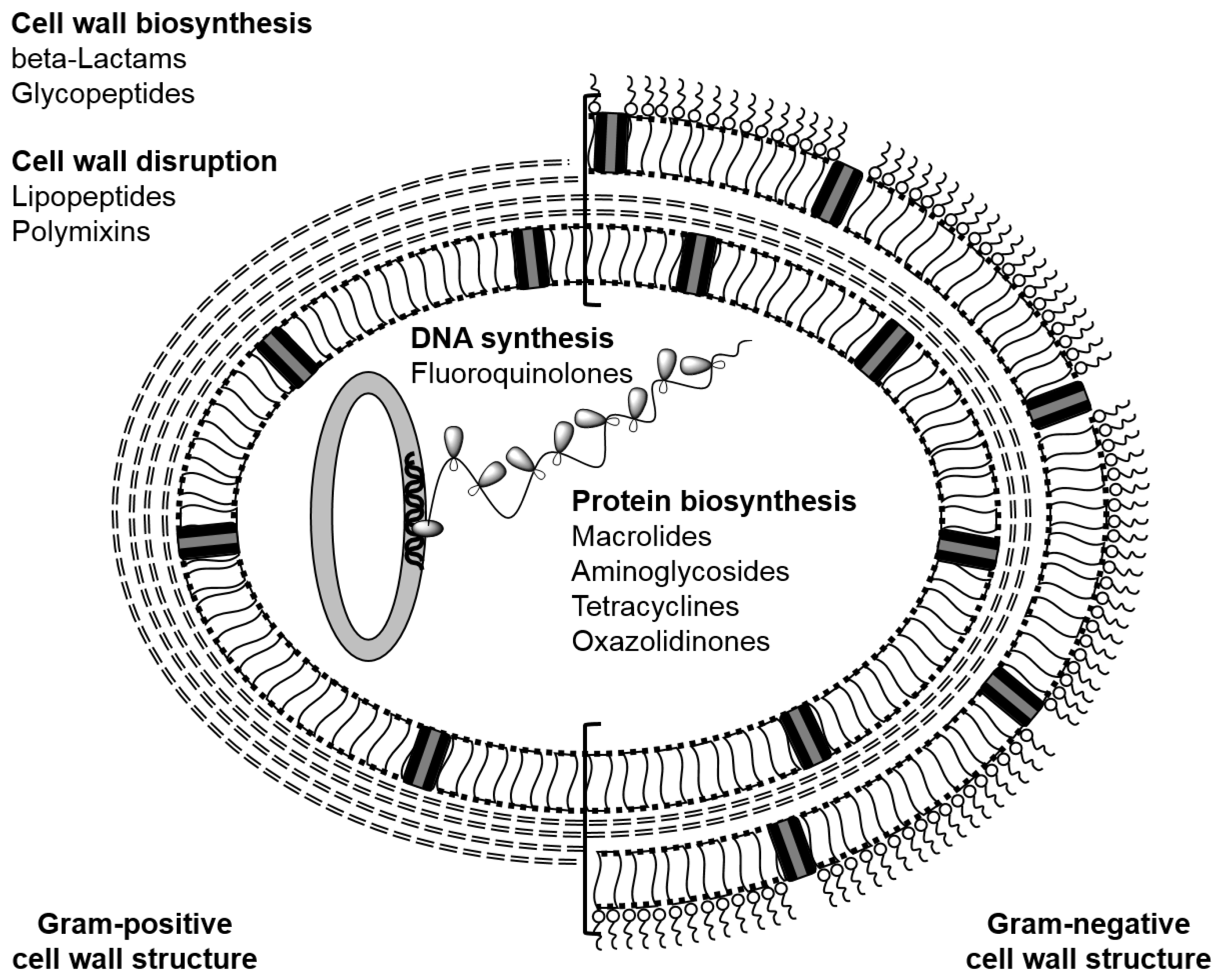 Pharmaceutics 10 00011 g002 Pharmaceutics 10 00011 g002