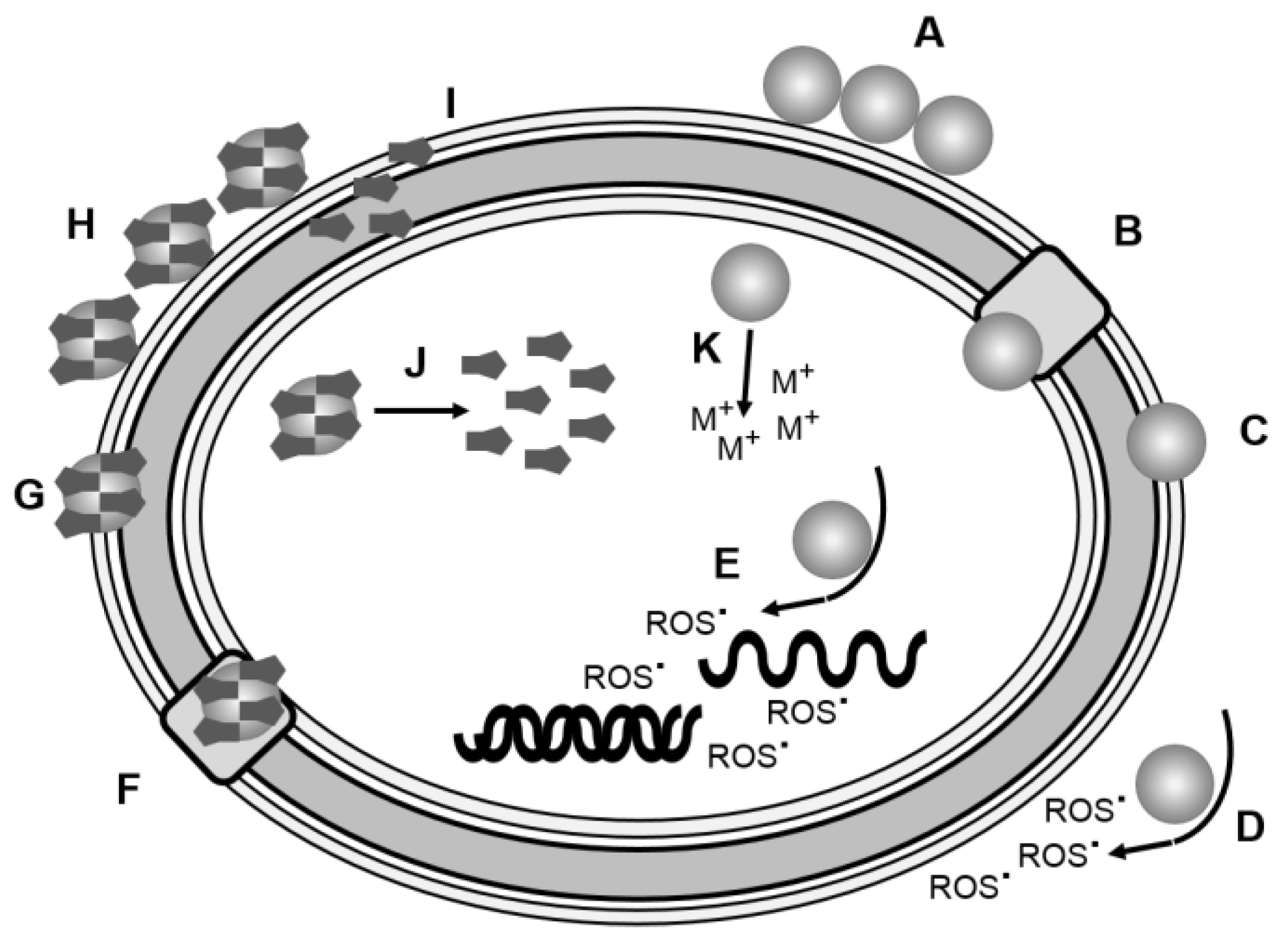 Pharmaceutics 10 00011 g009 Pharmaceutics 10 00011 g009