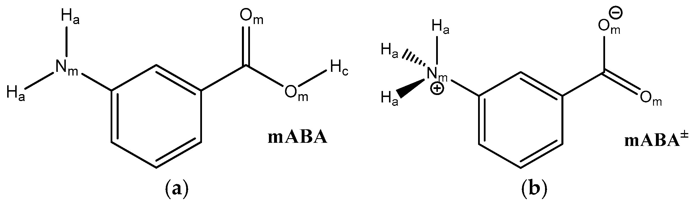 Pharmaceutics 10 00012 g001