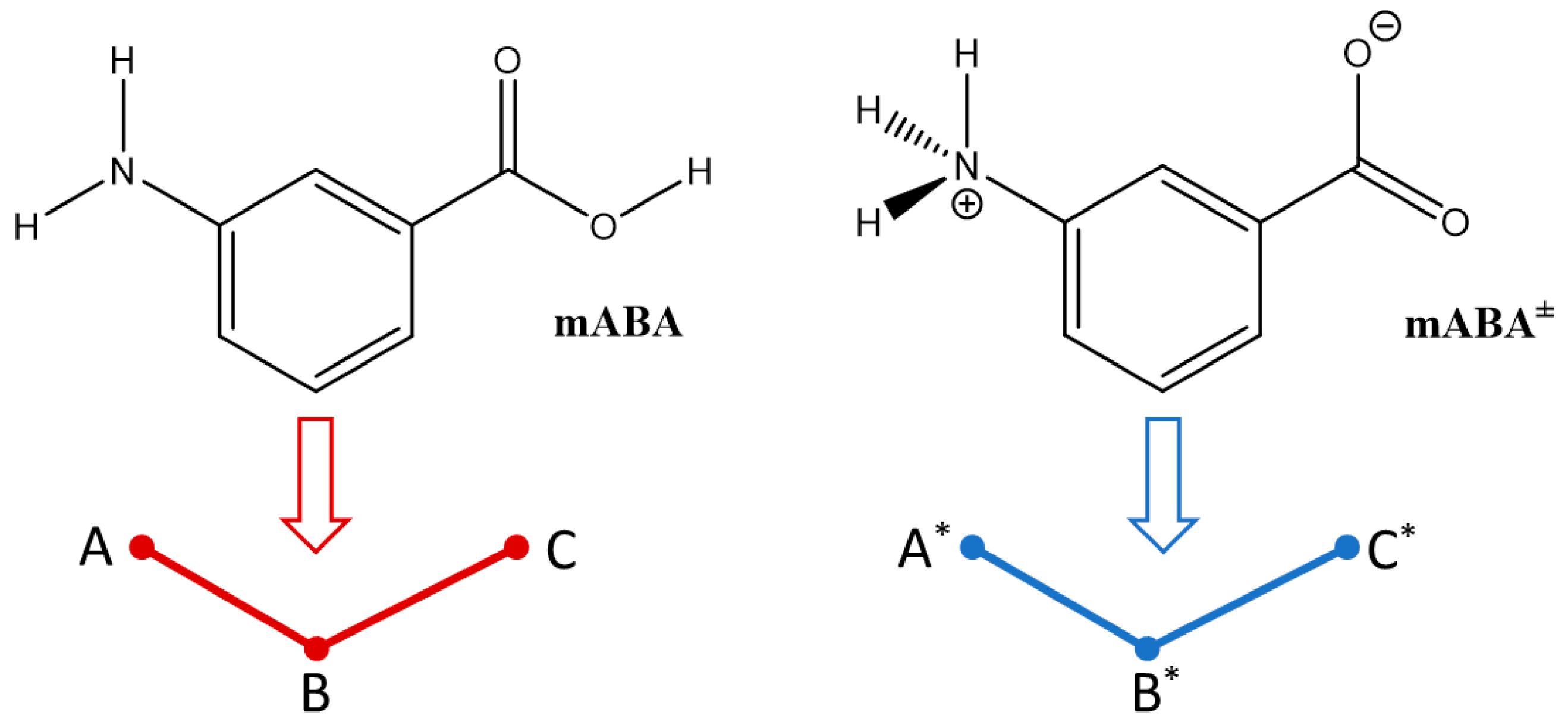 Pharmaceutics 10 00012 g010