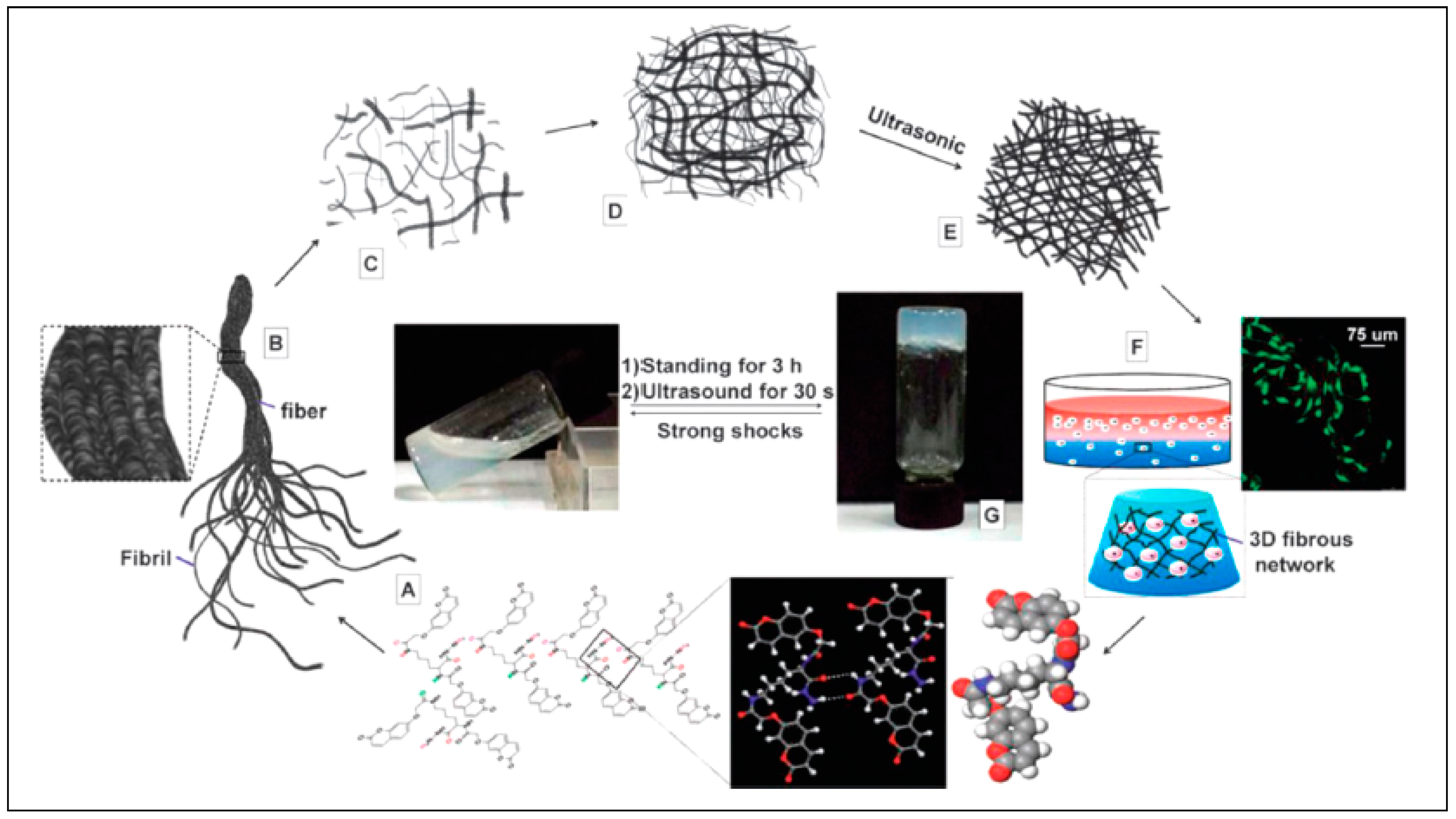 Pharmaceutics 10 00016 g005 Pharmaceutics 10 00016 g005