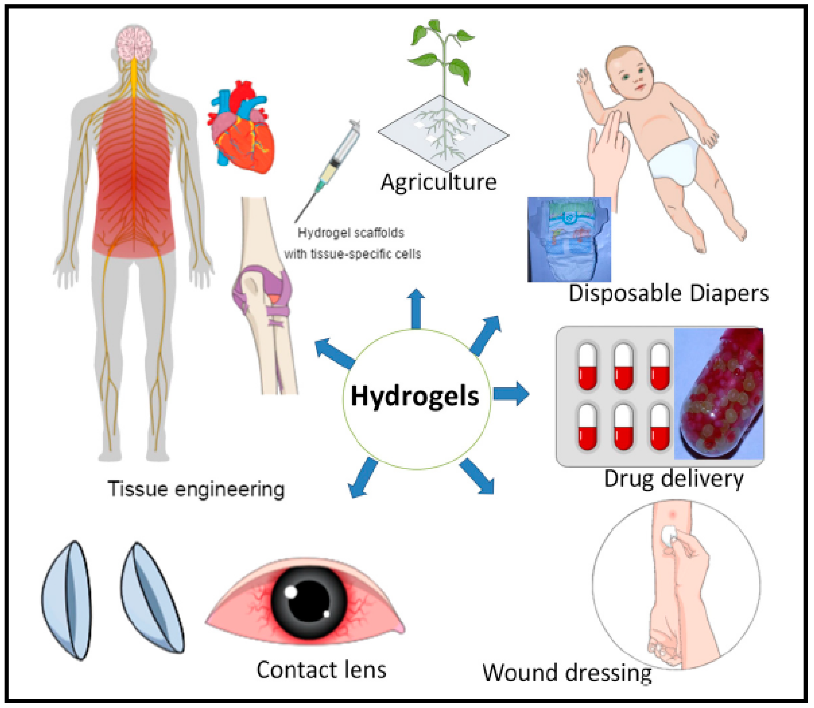 Pharmaceutics 10 00016 g006 Pharmaceutics 10 00016 g006