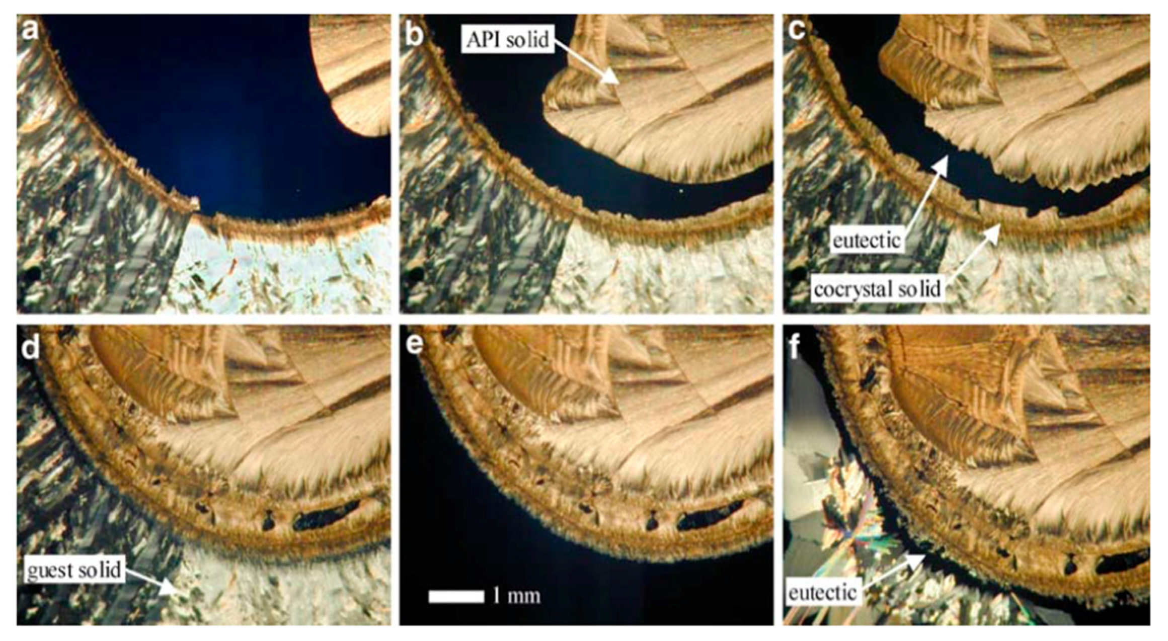Pharmaceutics 10 00018 g016 550