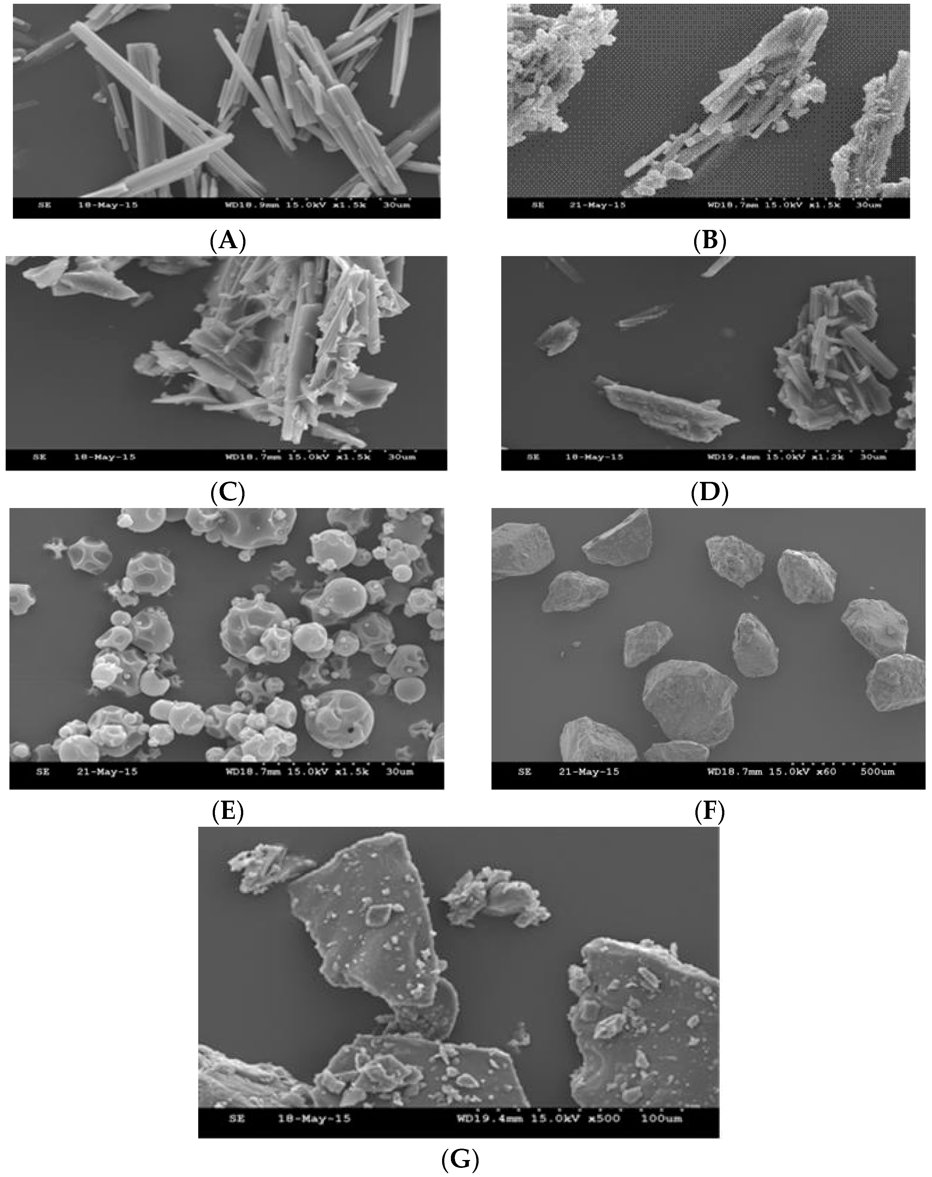 Pharmaceutics 10 00022 g010 550