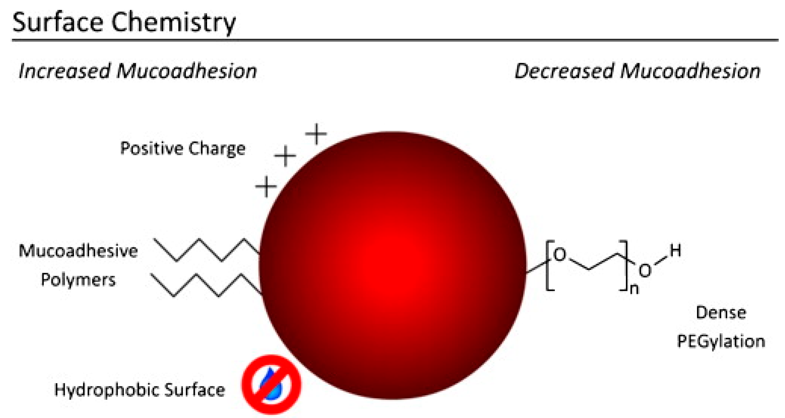 Pharmaceutics 10 00034 g003 Pharmaceutics 10 00034 g003