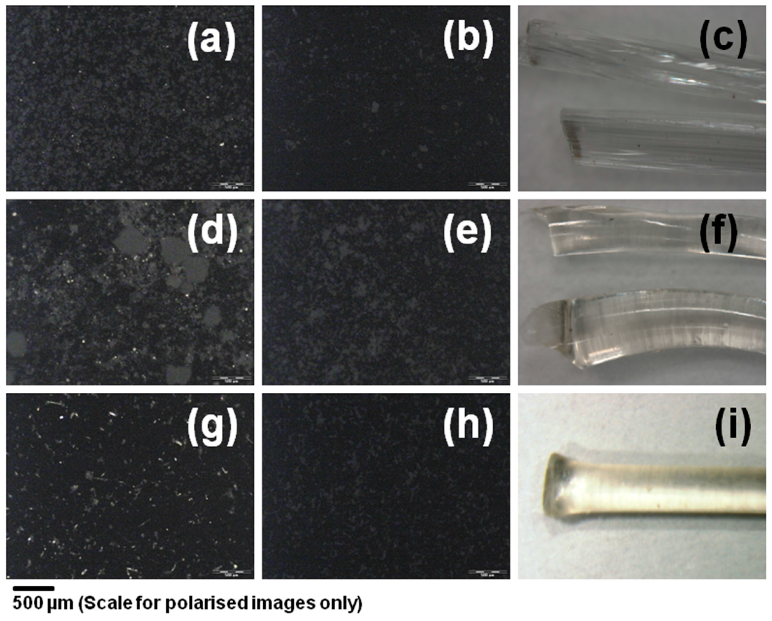 Pharmaceutics 10 00035 g003
