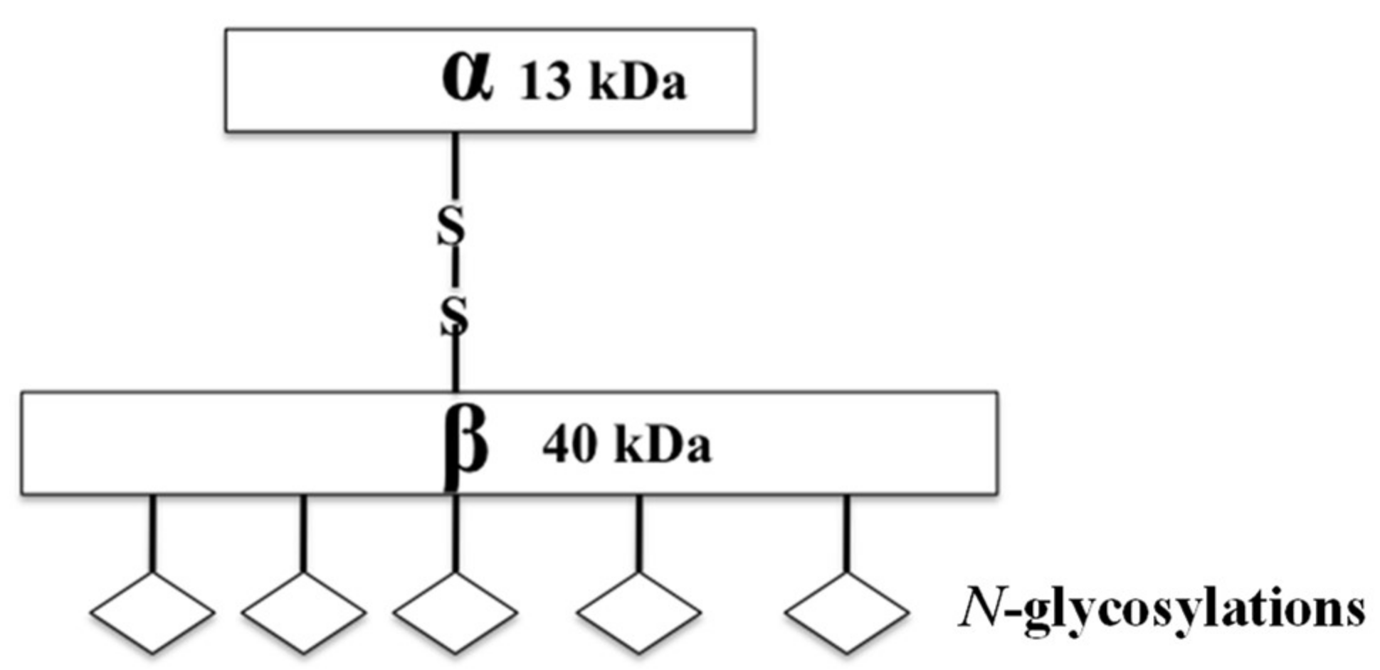 Pharmaceutics 10 00045 g001