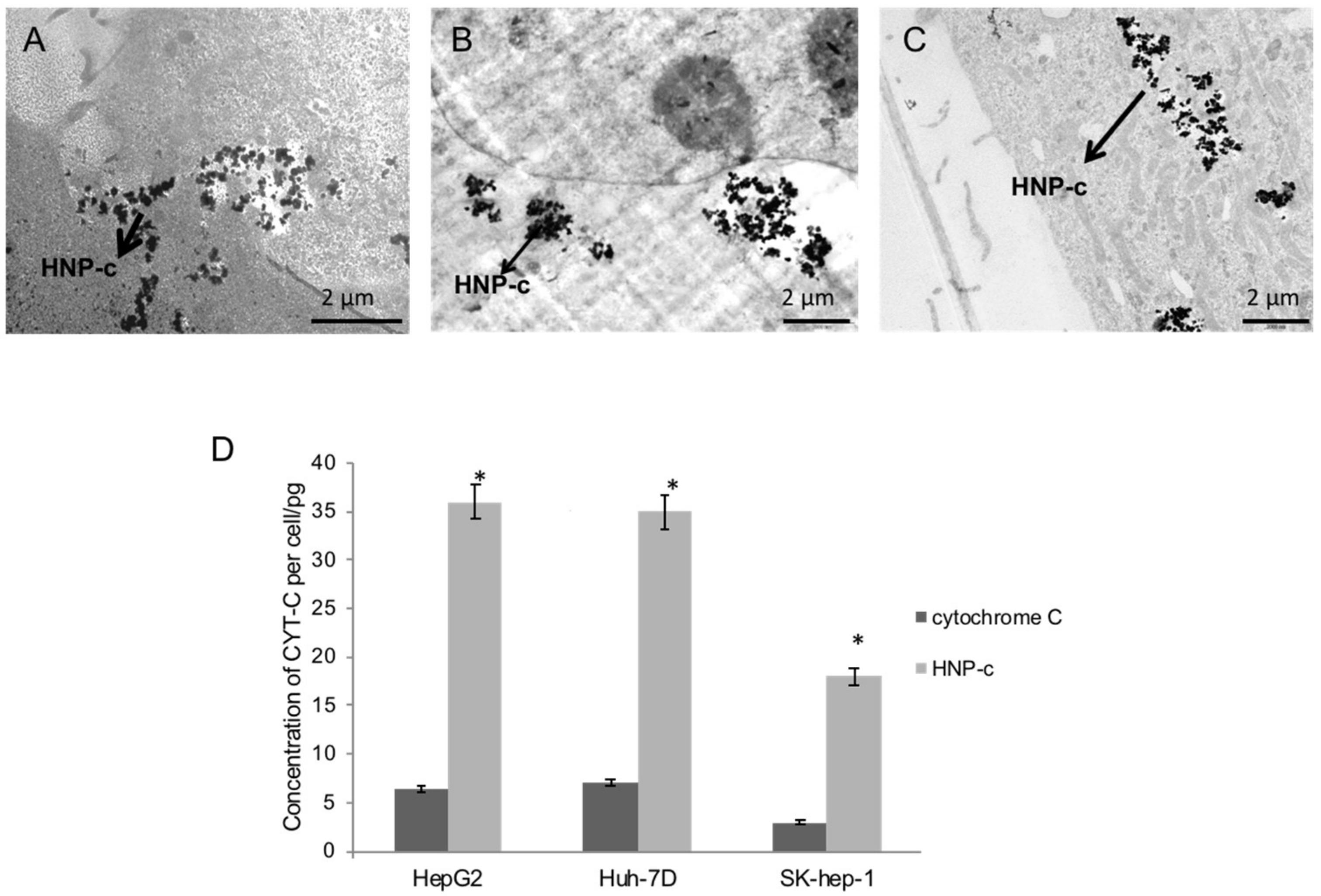 Pharmaceutics 10 00048 g001