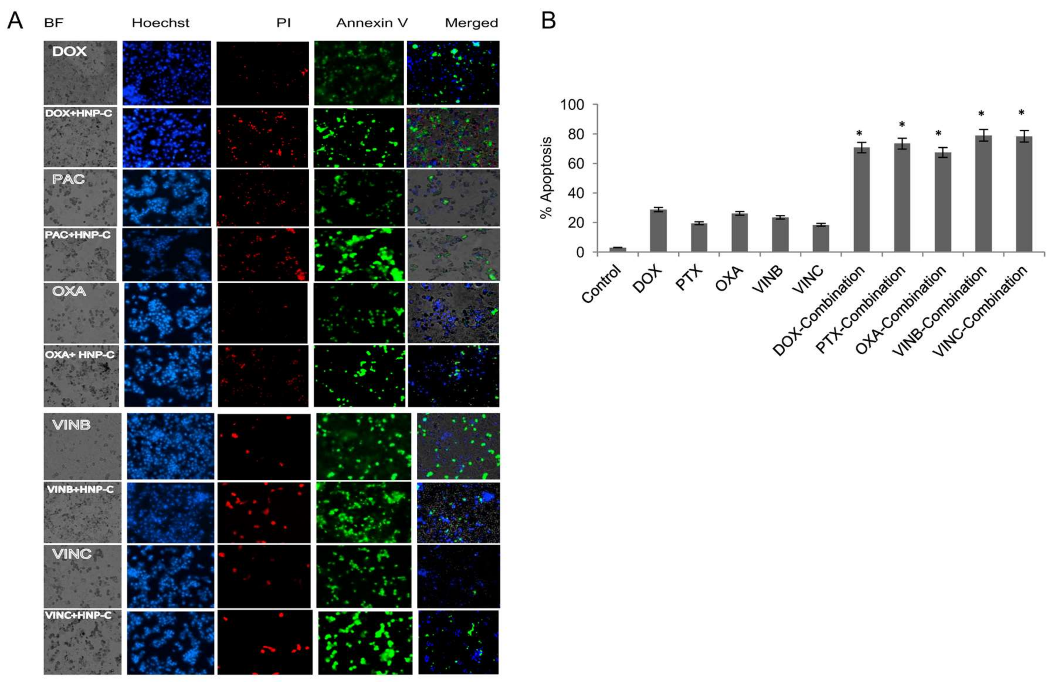 Pharmaceutics 10 00048 g006