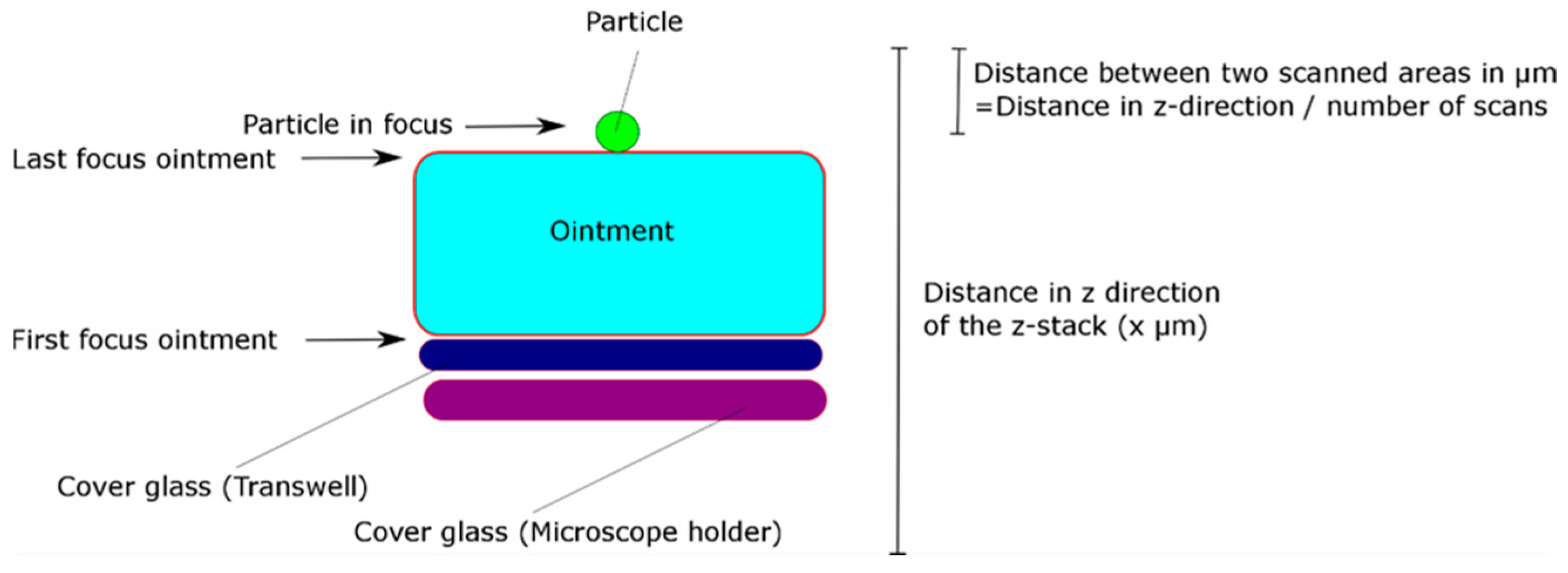 Pharmaceutics 10 00056 g002