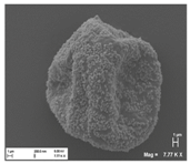 Pharmaceutics 10 00056 i003