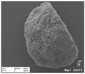Pharmaceutics 10 00056 i005