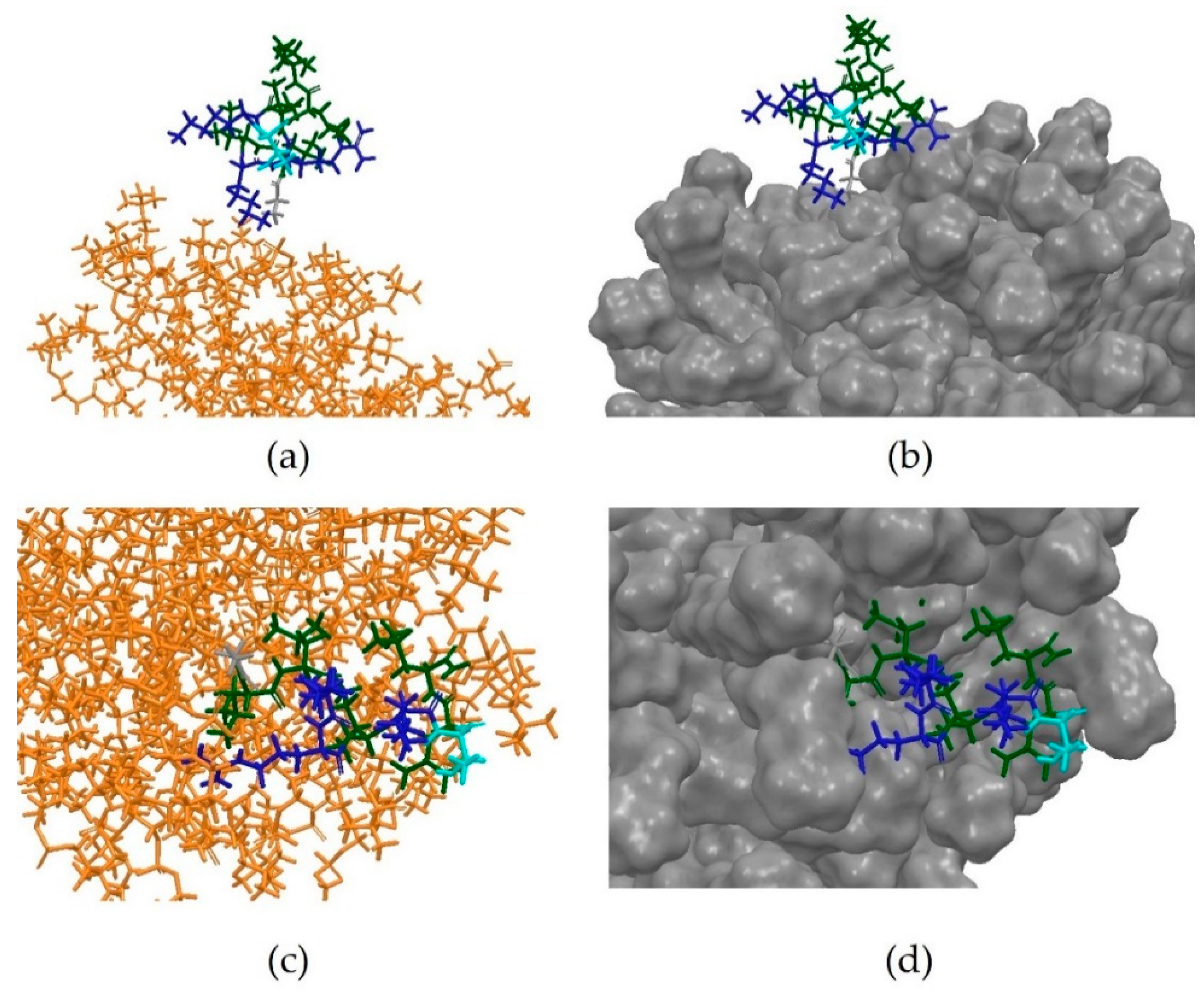 Pharmaceutics 10 00072 g013