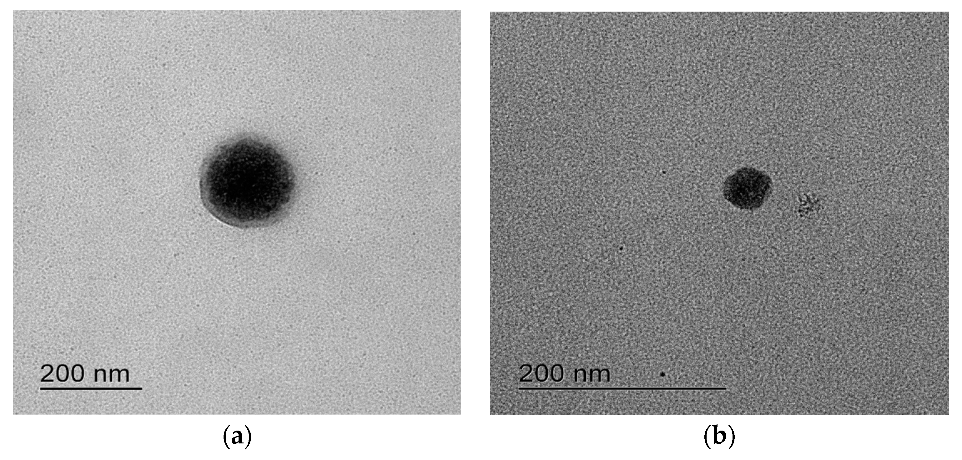 Pharmaceutics 10 00078 g003