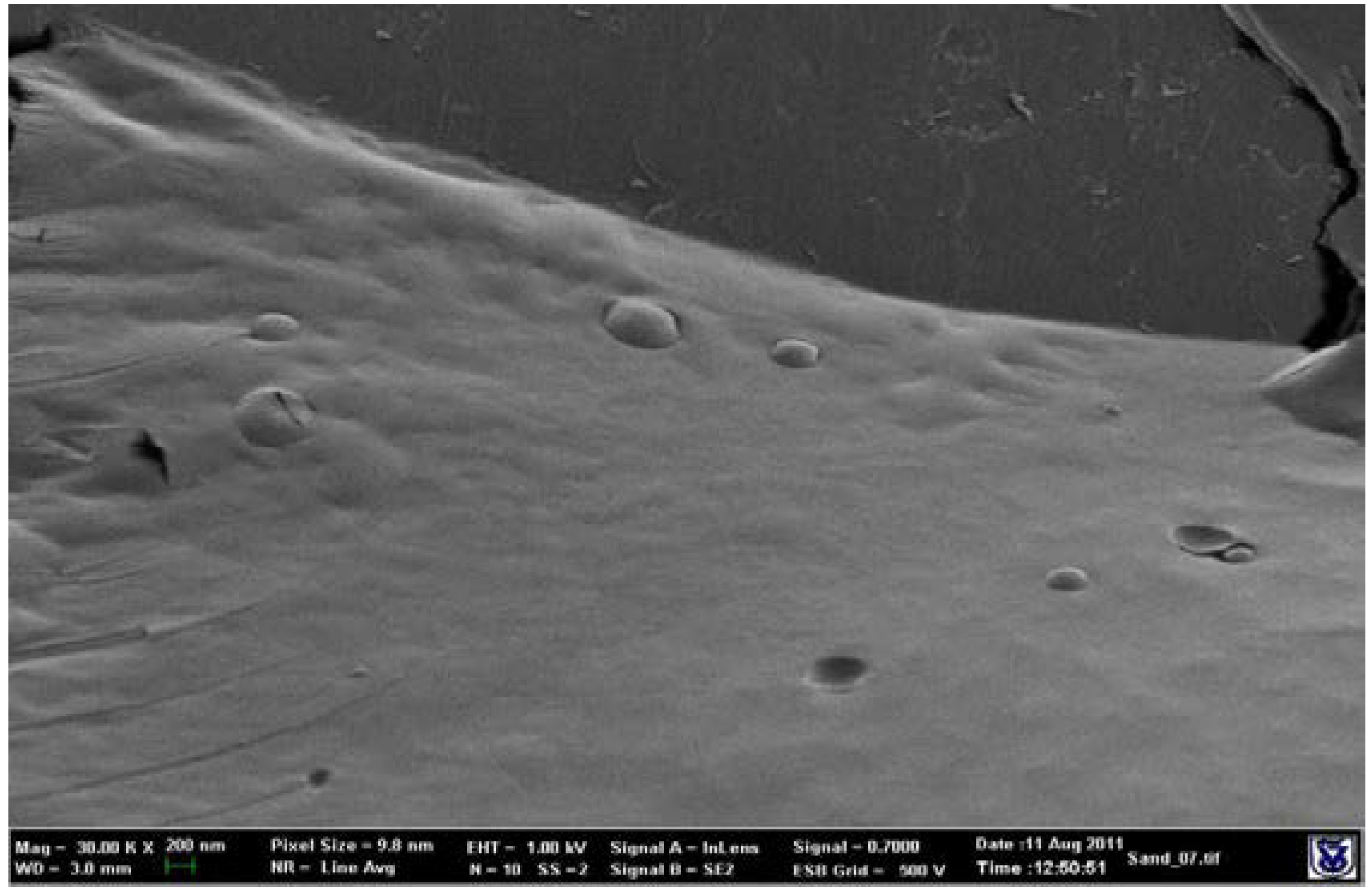 Pharmaceutics 10 00082 g002