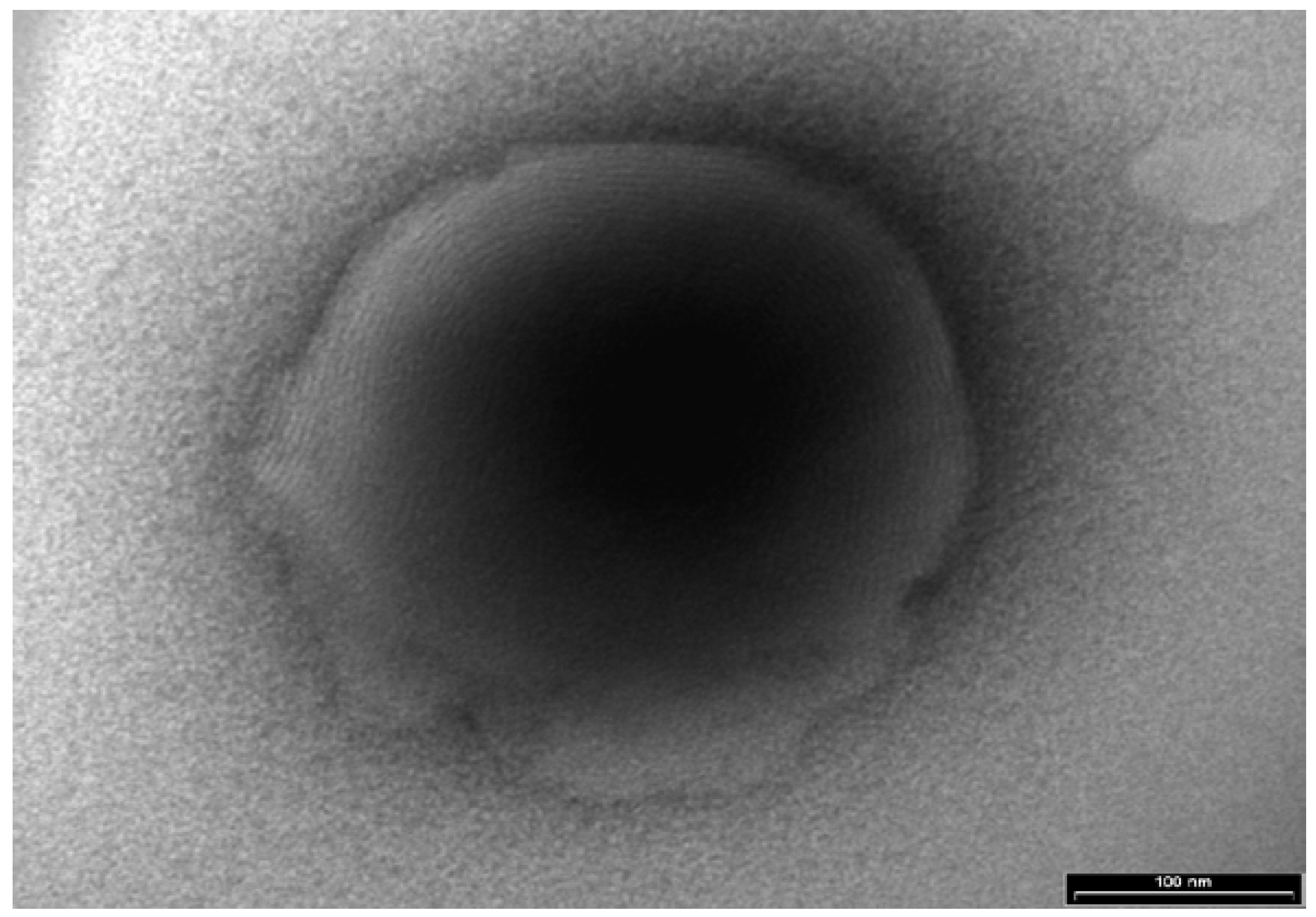 Pharmaceutics 10 00082 g003
