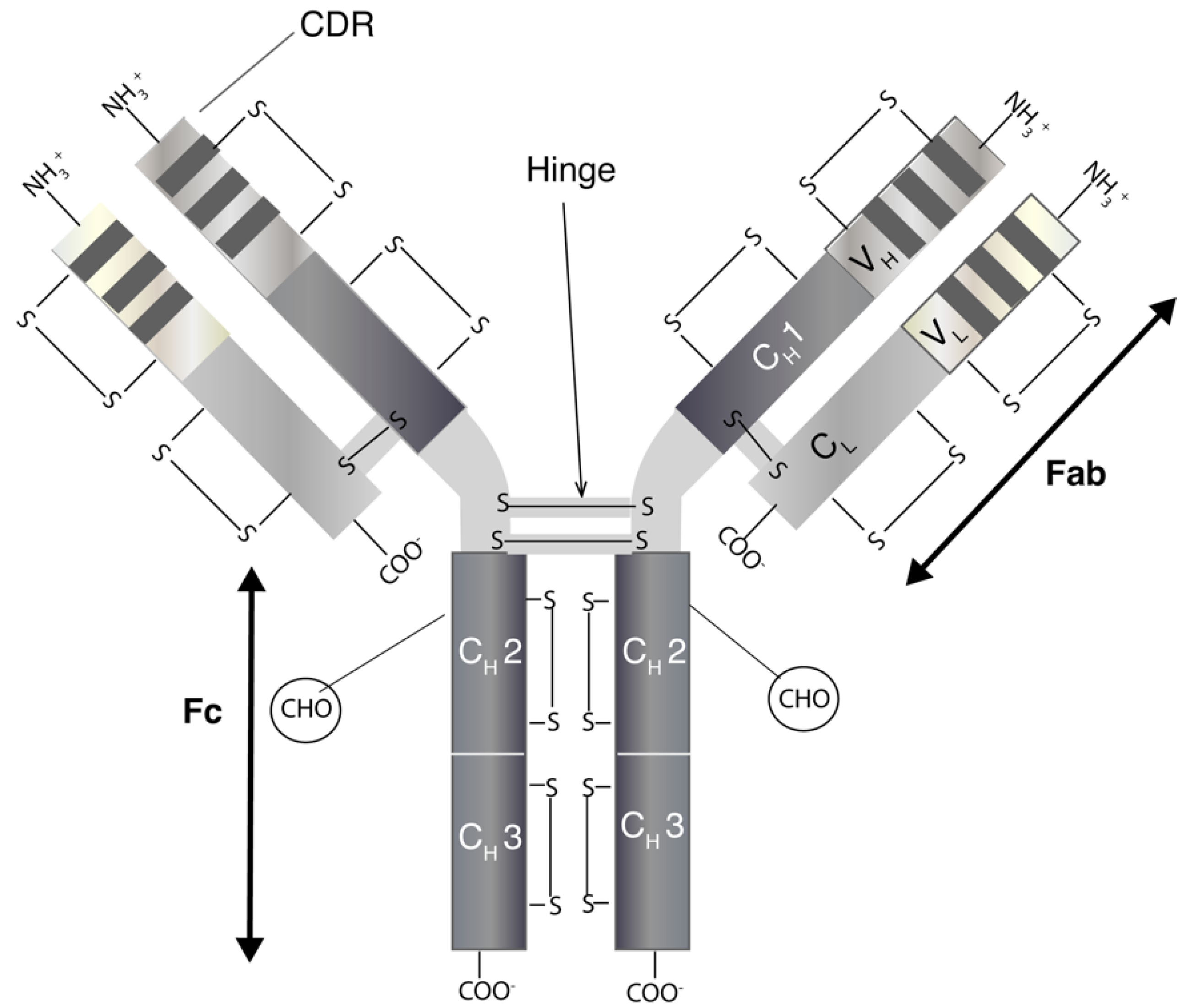Pharmaceutics 10 00083 g001 Pharmaceutics 10 00083 g001