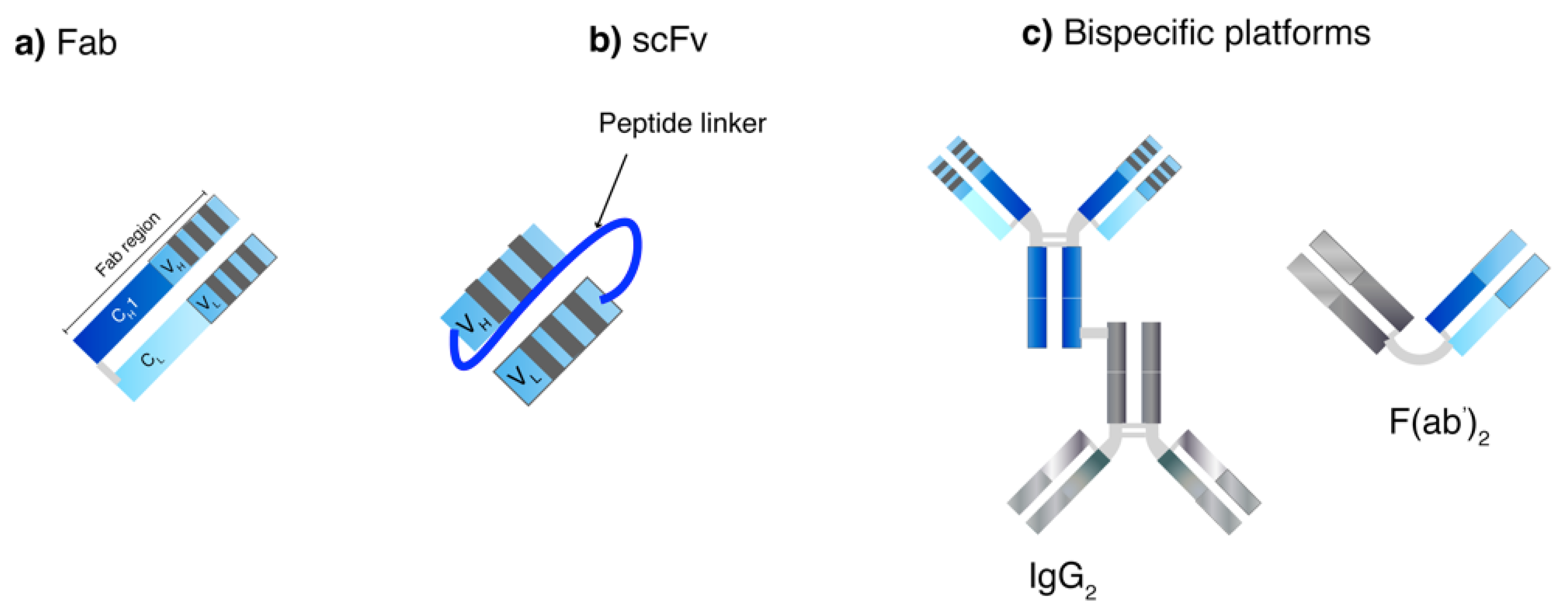 Pharmaceutics 10 00083 g003 Pharmaceutics 10 00083 g003