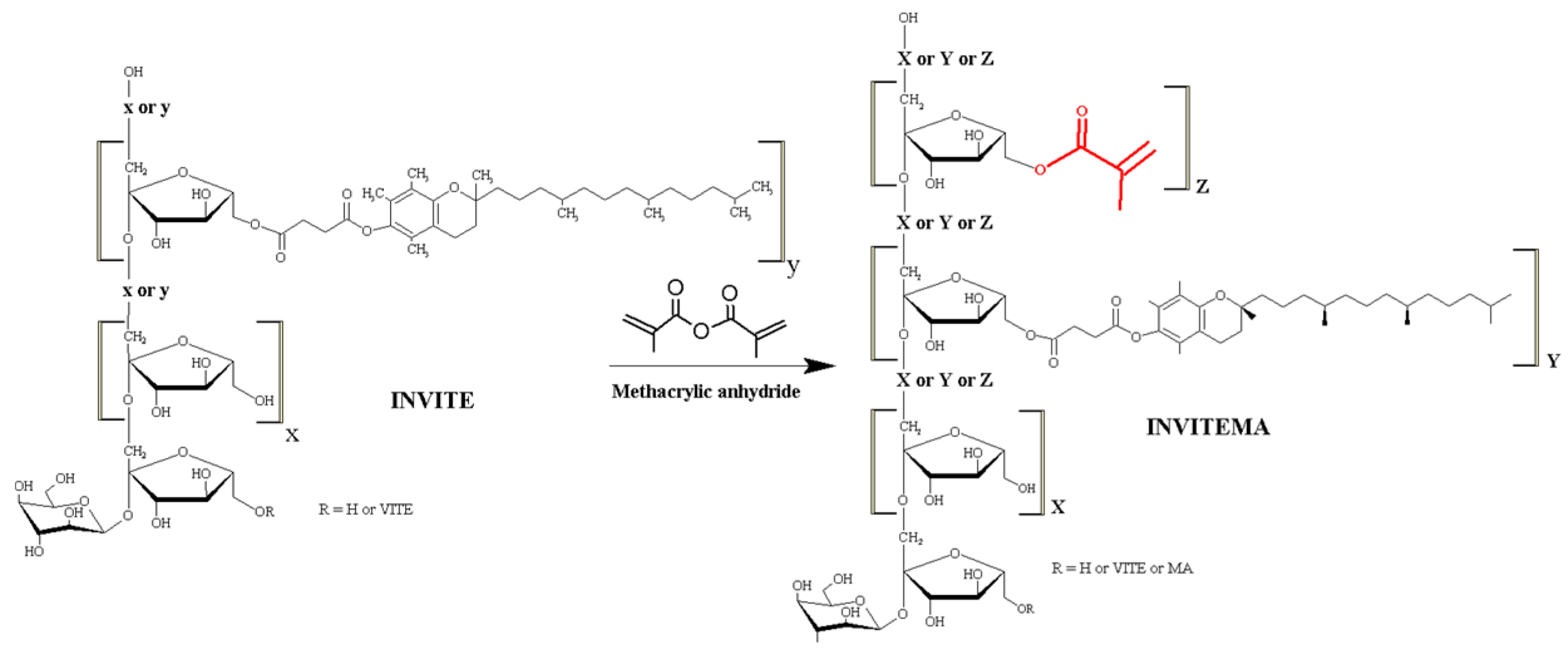 Pharmaceutics 10 00097 g001 Pharmaceutics 10 00097 g001