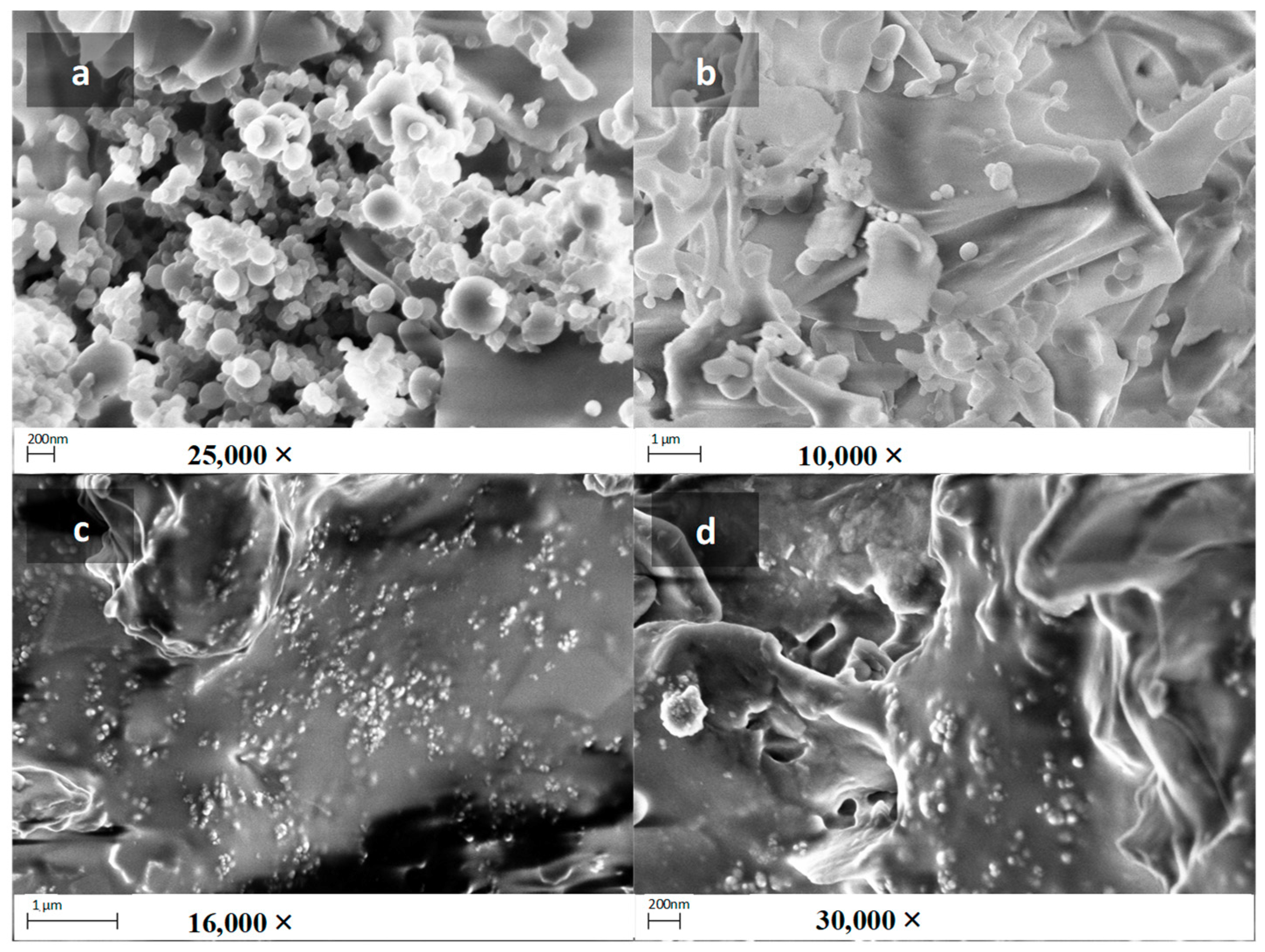 Pharmaceutics 10 00097 g006 Pharmaceutics 10 00097 g006