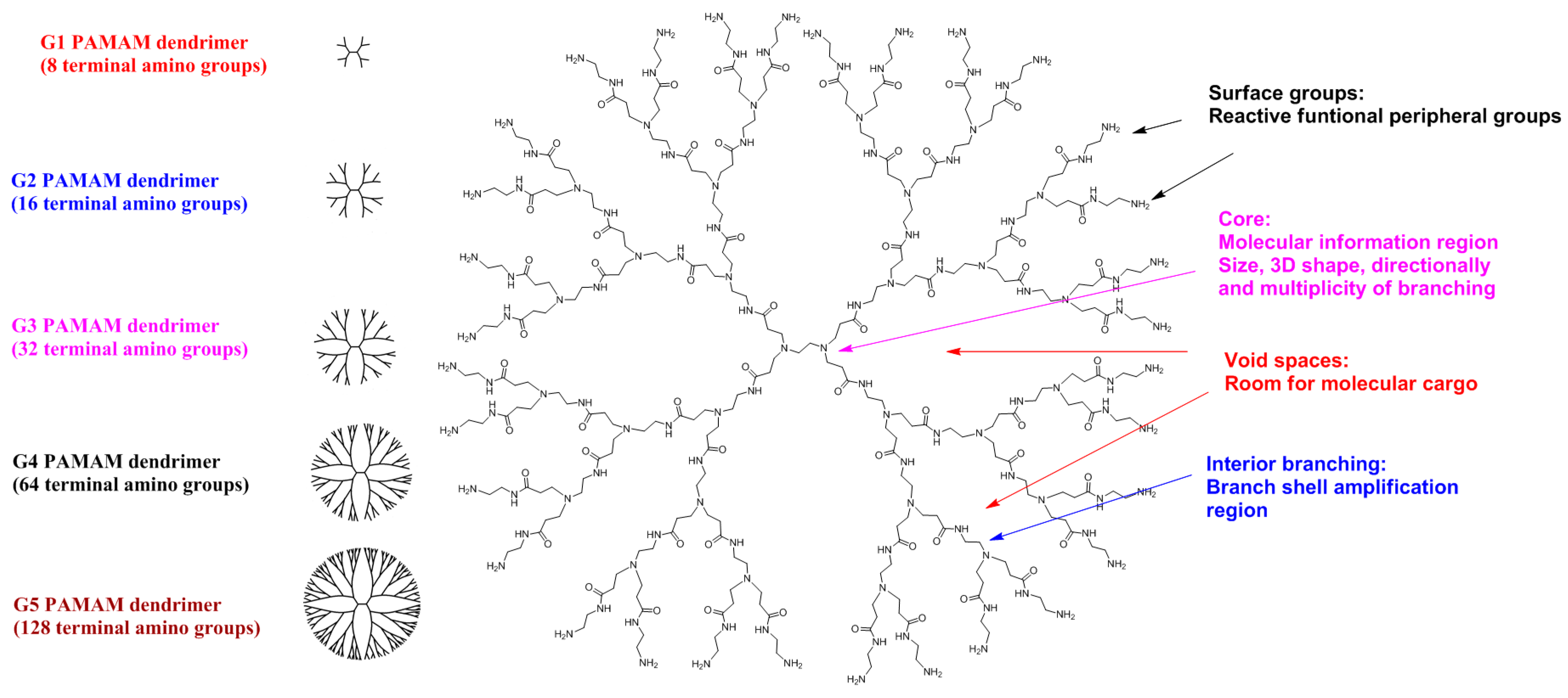 Pharmaceutics 10 00105 g003