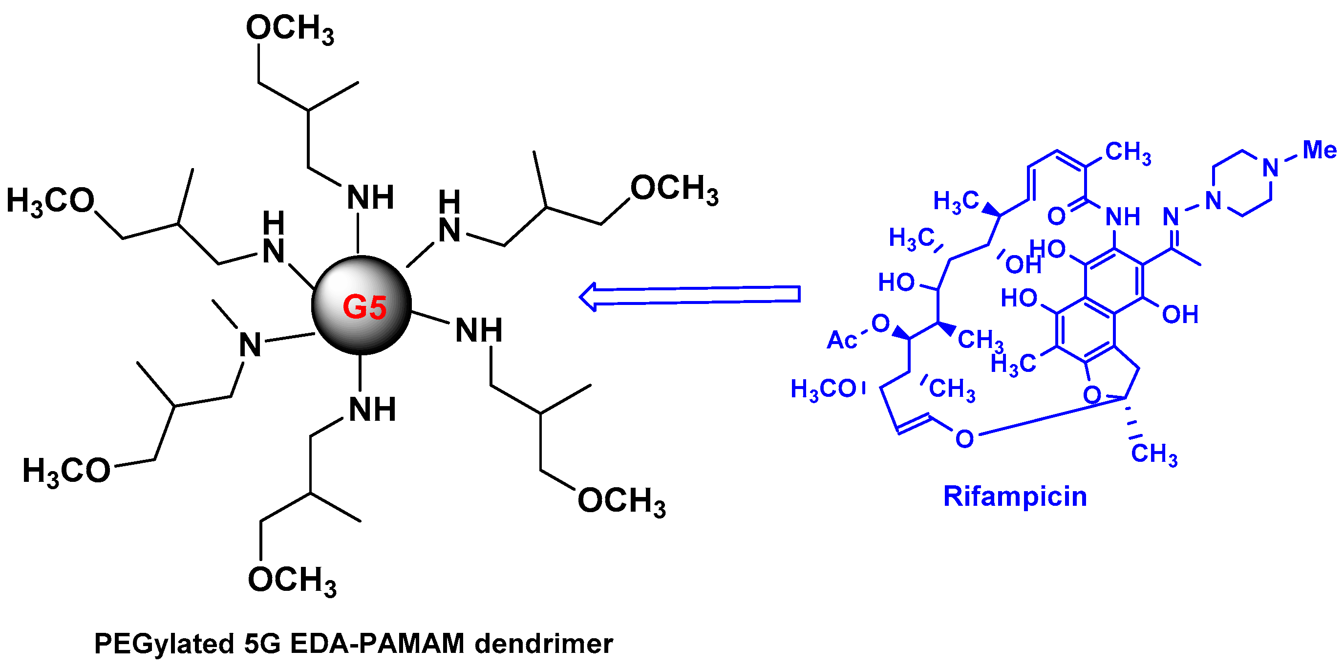 Pharmaceutics 10 00105 g005