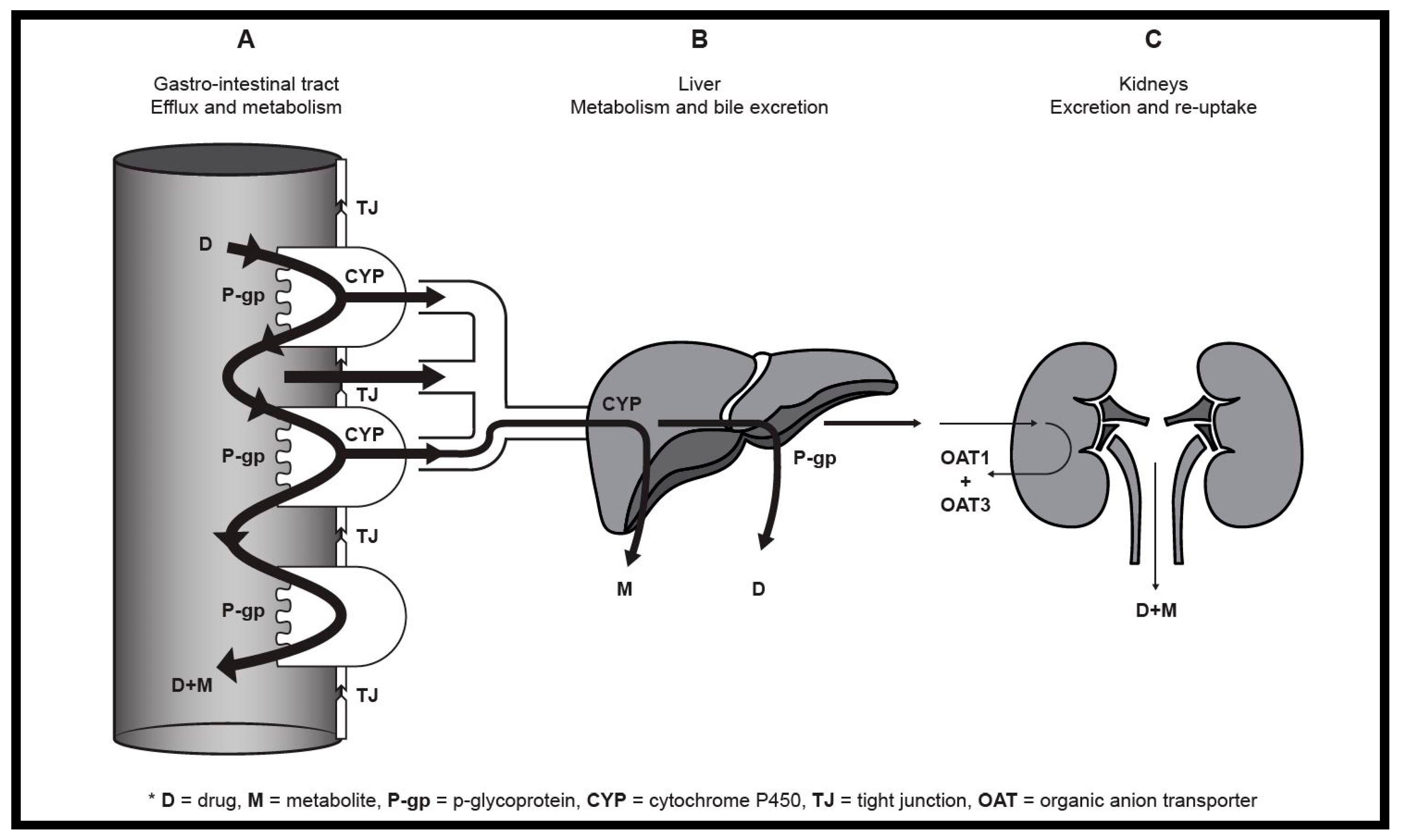 Pharmaceutics 10 00106 g001