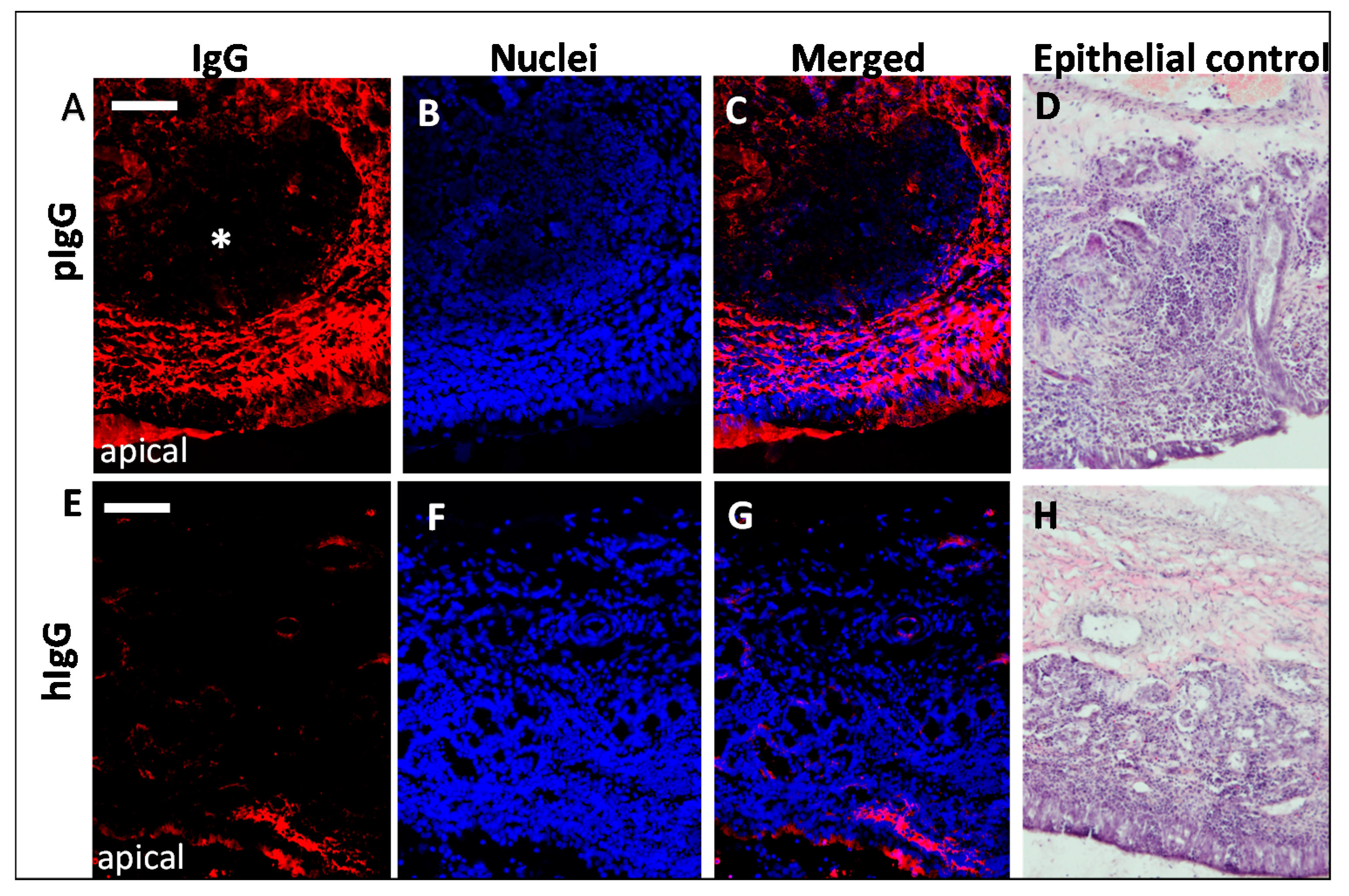 Pharmaceutics 10 00107 g004
