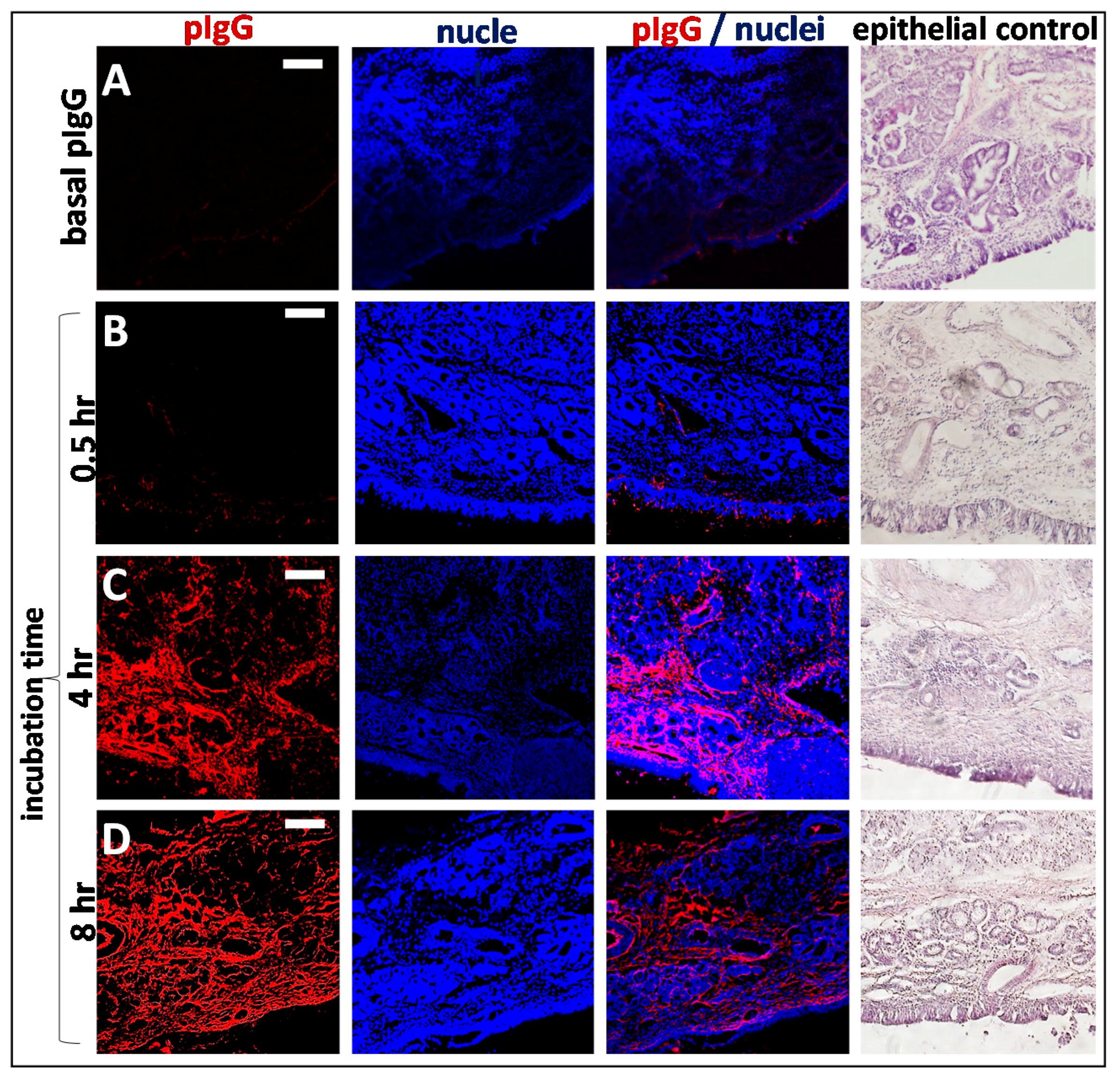 Pharmaceutics 10 00107 g006